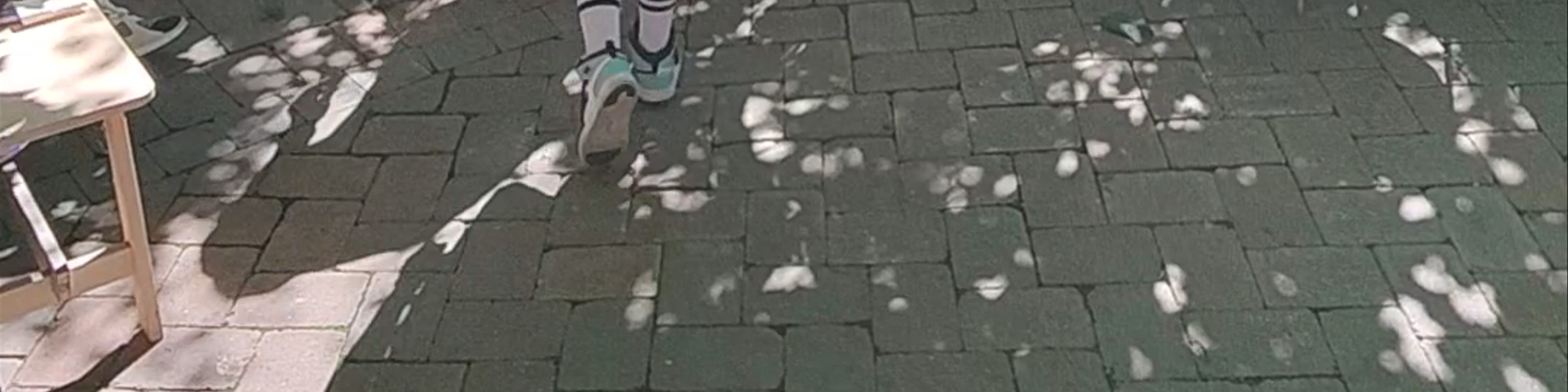 Cluj