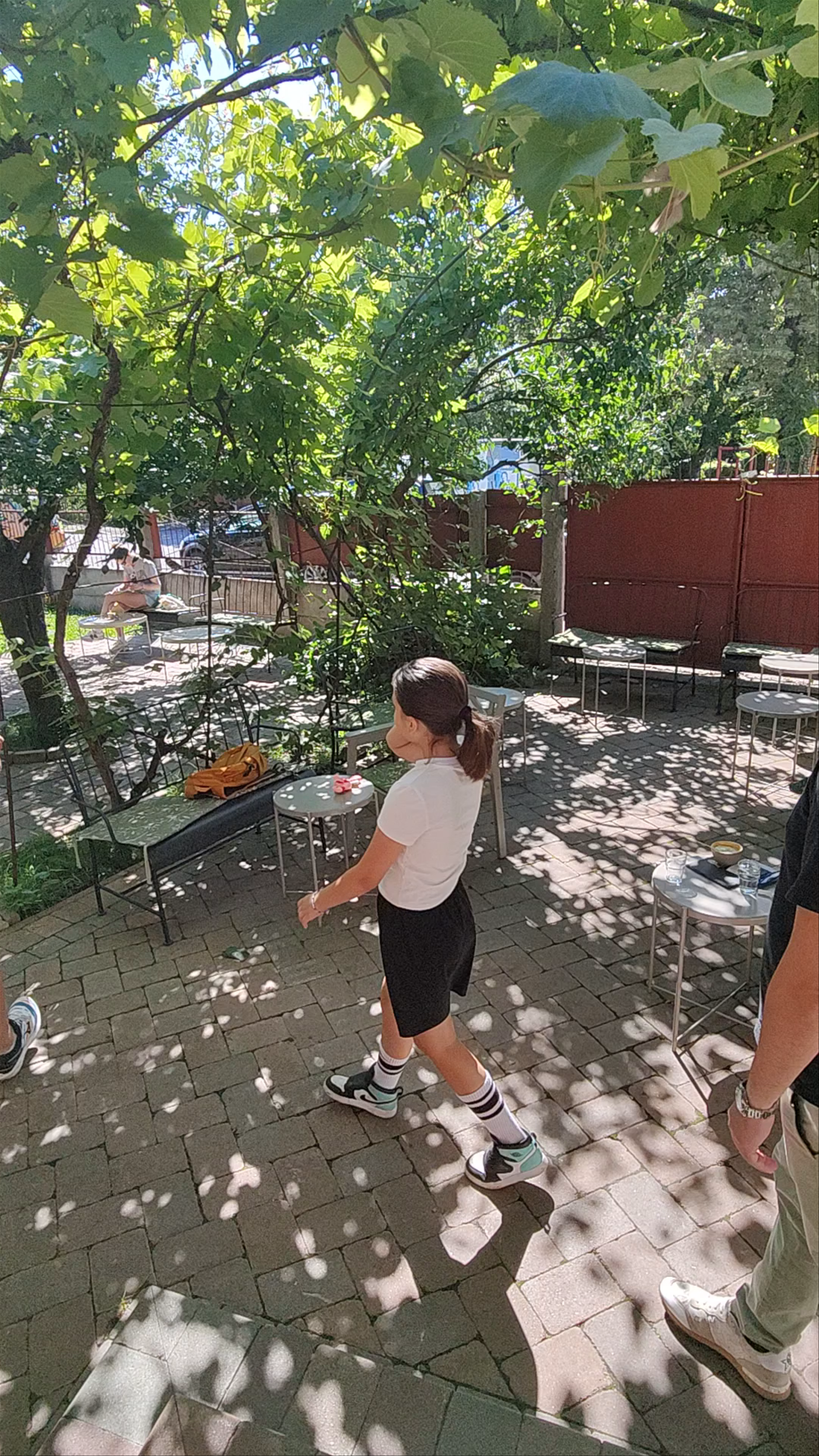 Serene Afternoon in a Leafy Garden Café, Cluj-Napoca