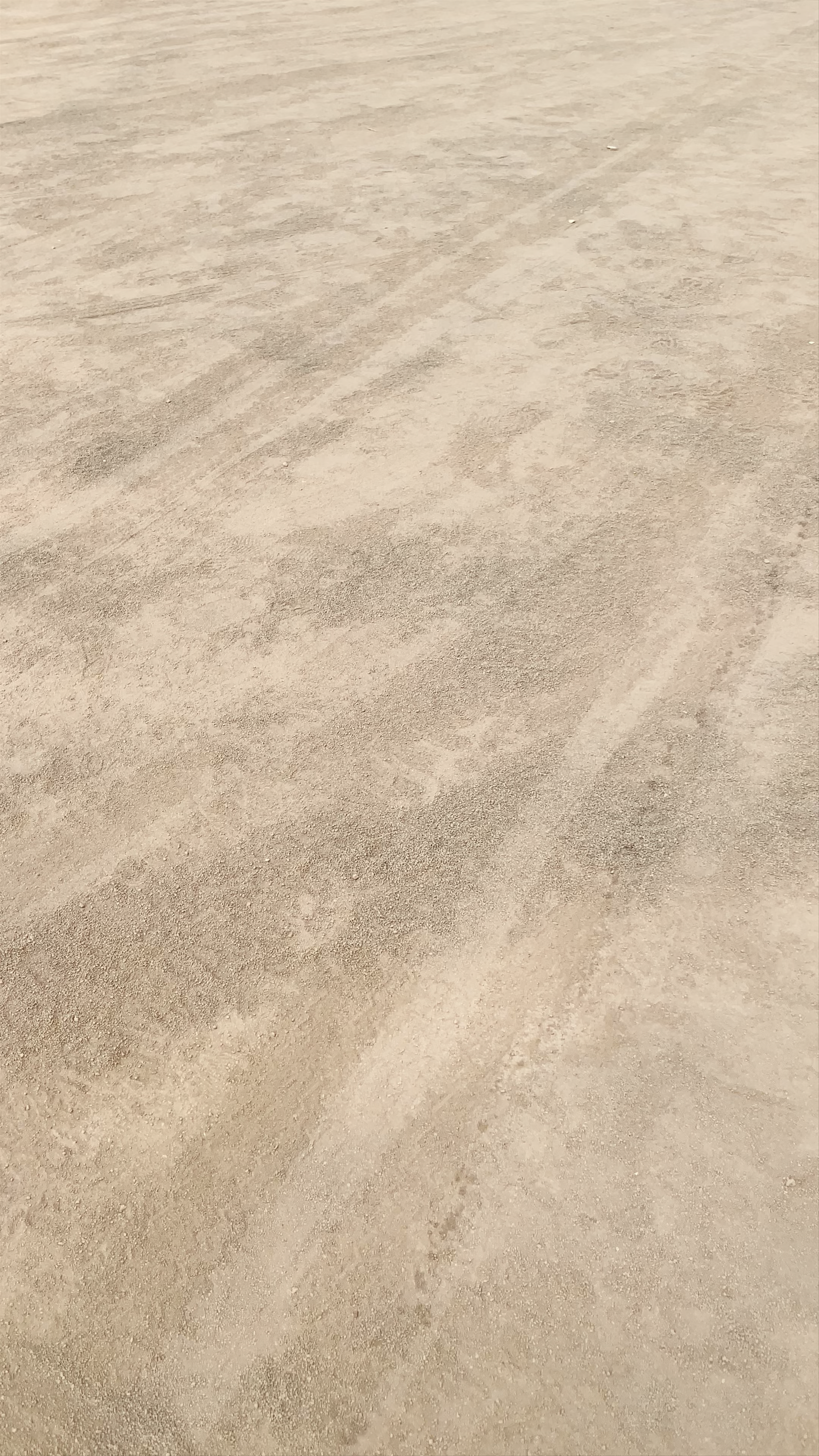 Terra Boa / Fata Morgana