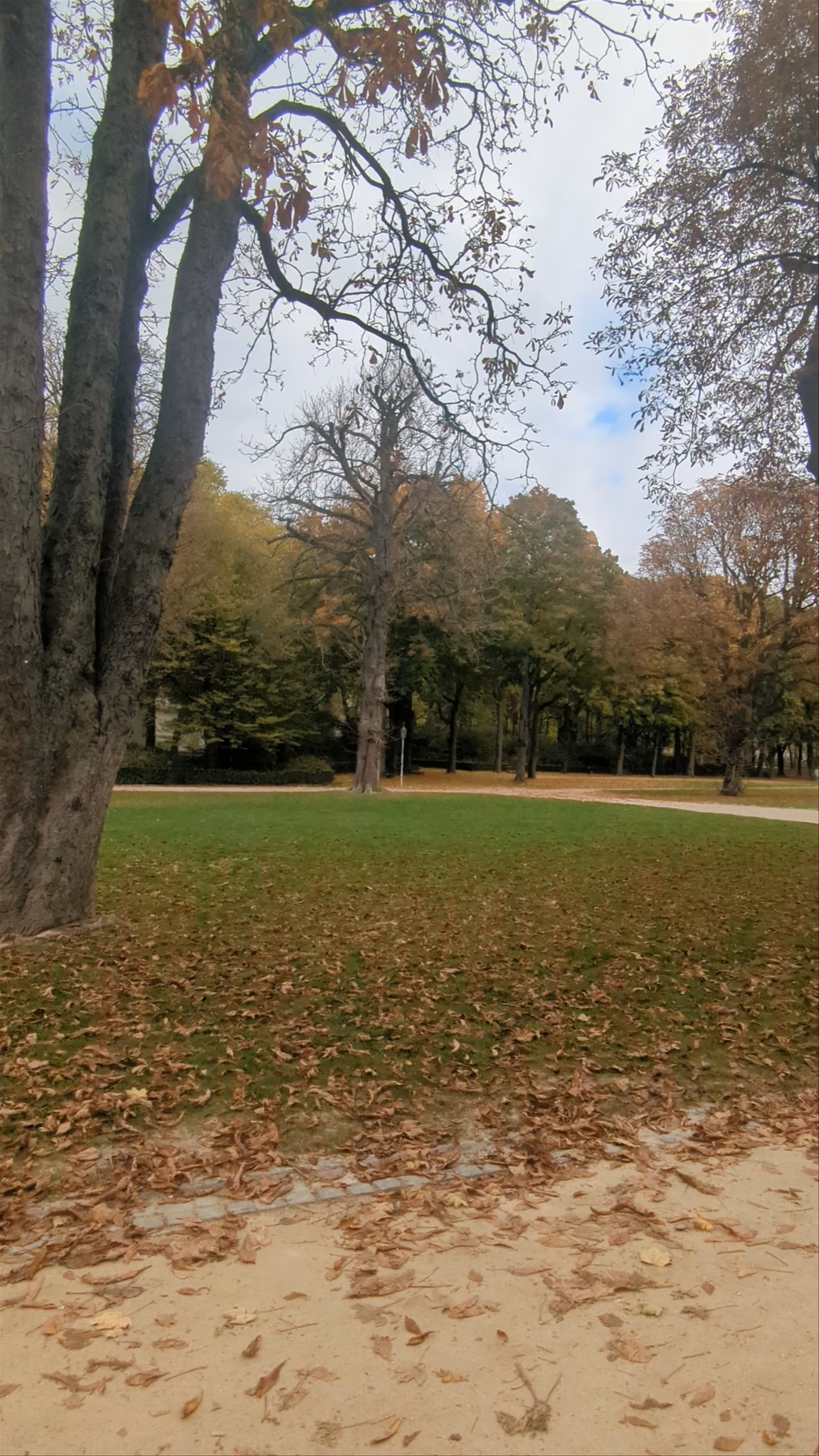 Cinquantenaire