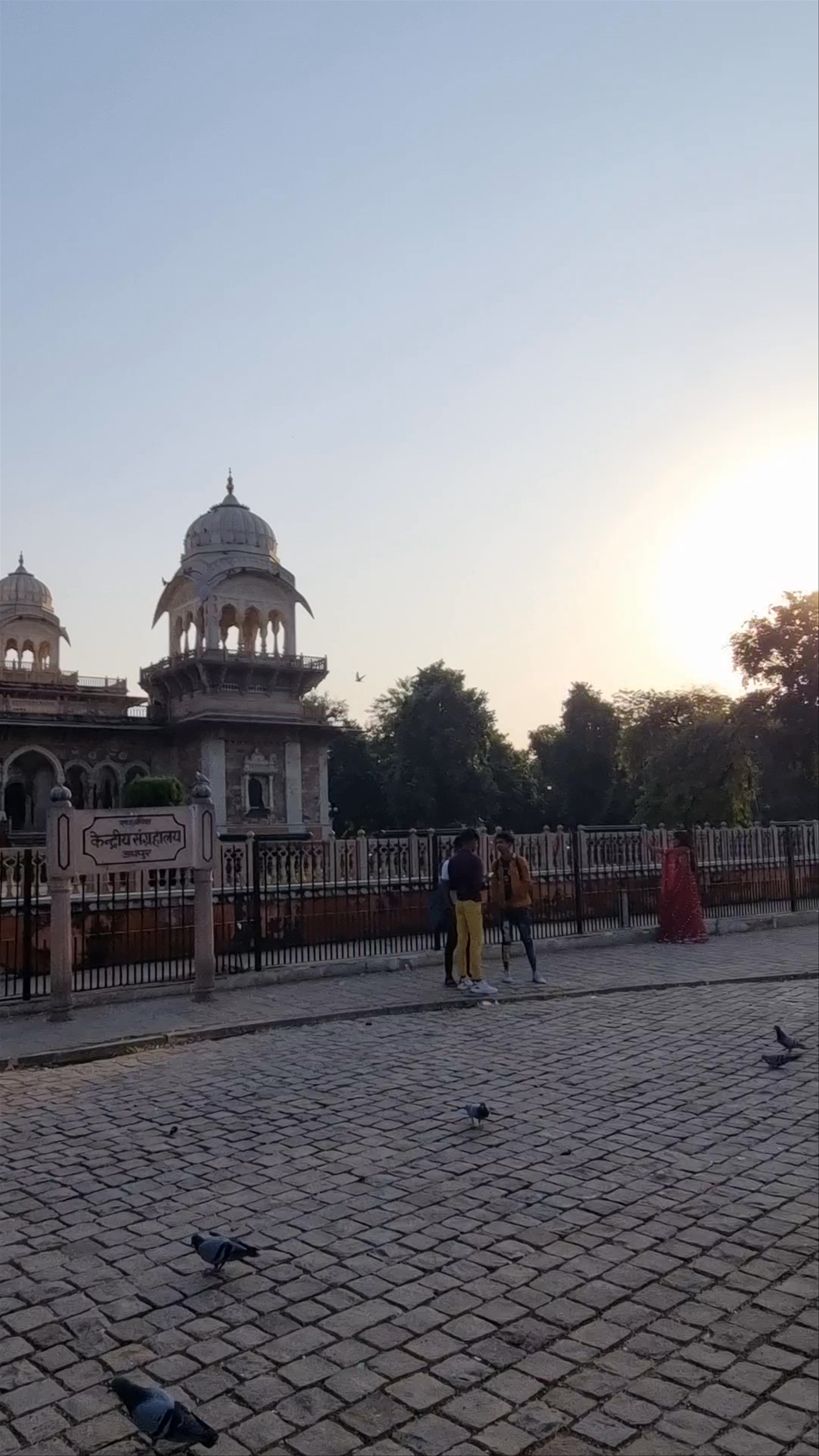 Albert Hall Museum: Jaipur's Majestic Cultural Treasure