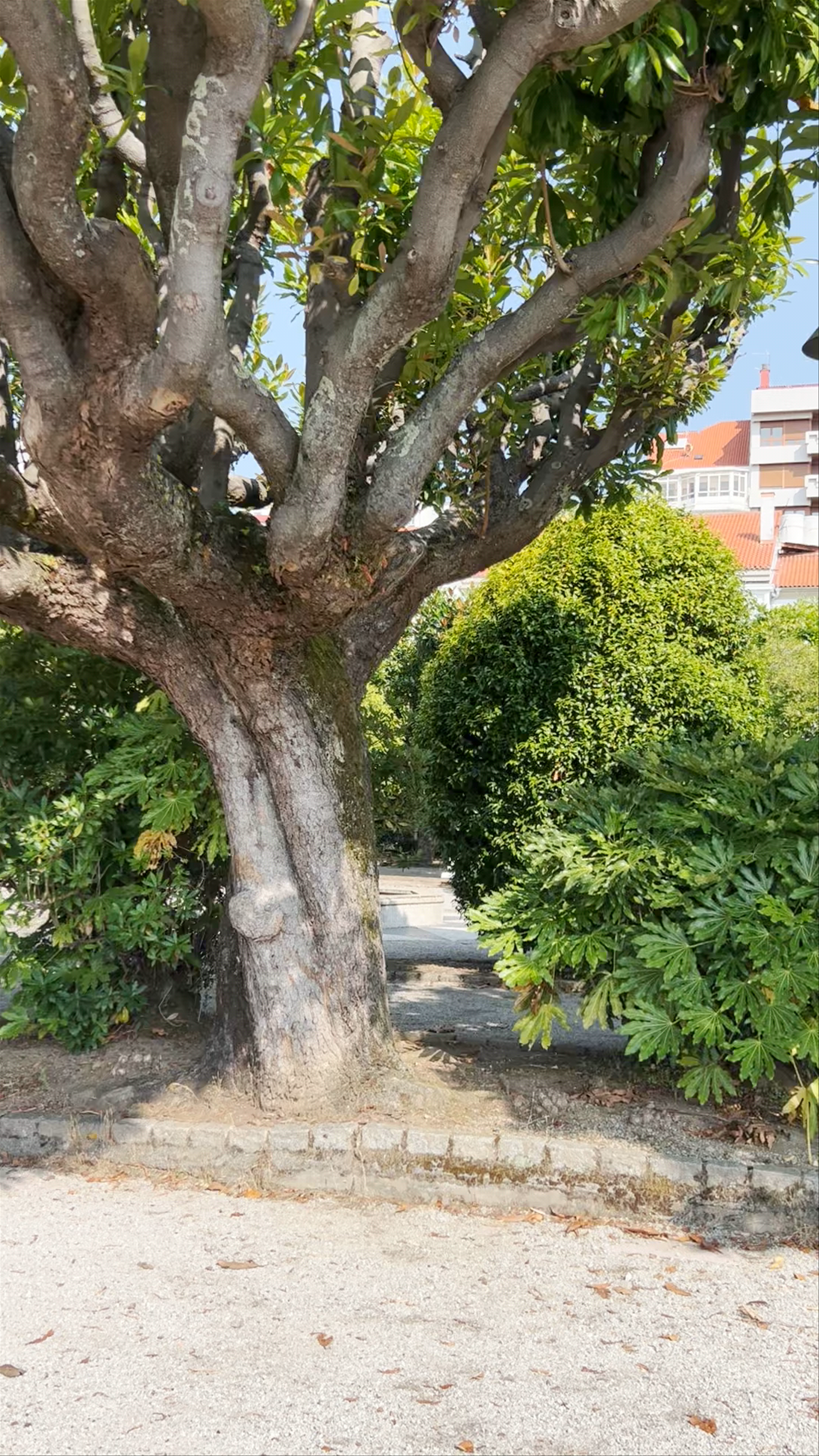 Jardines de Herrera: Serene Urban Oasis in Ferrol, Spain