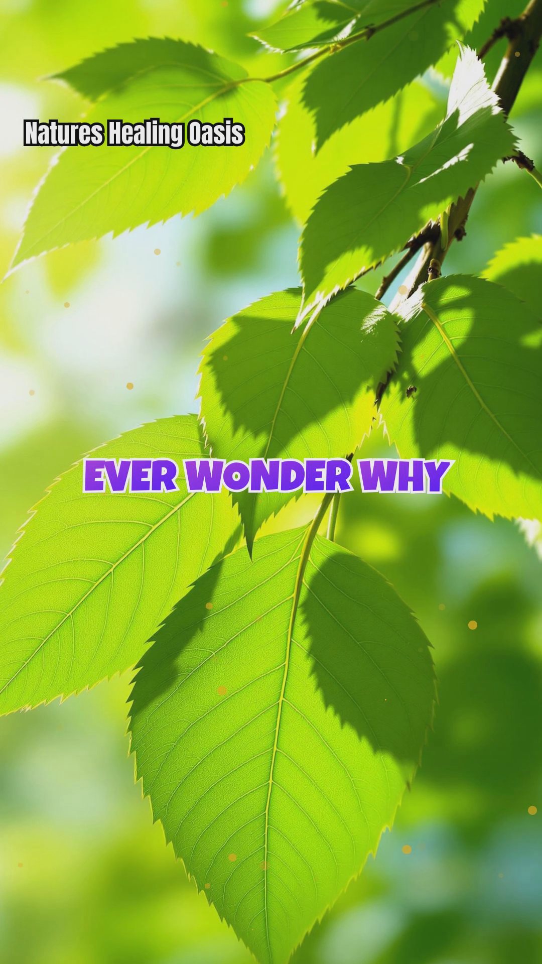 What Autumn Leaves Reveal About Our Emotions