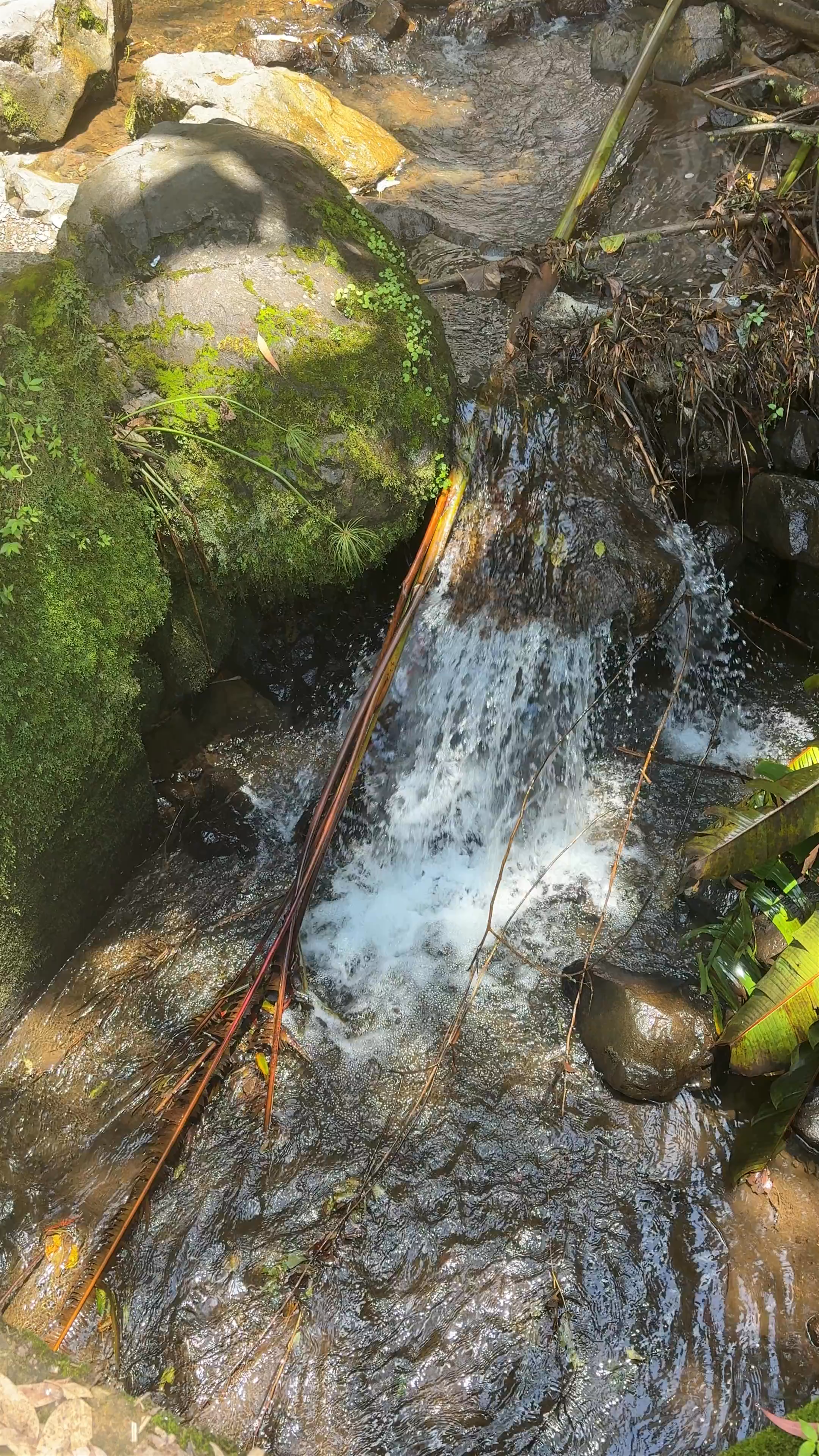Cascada del Amor