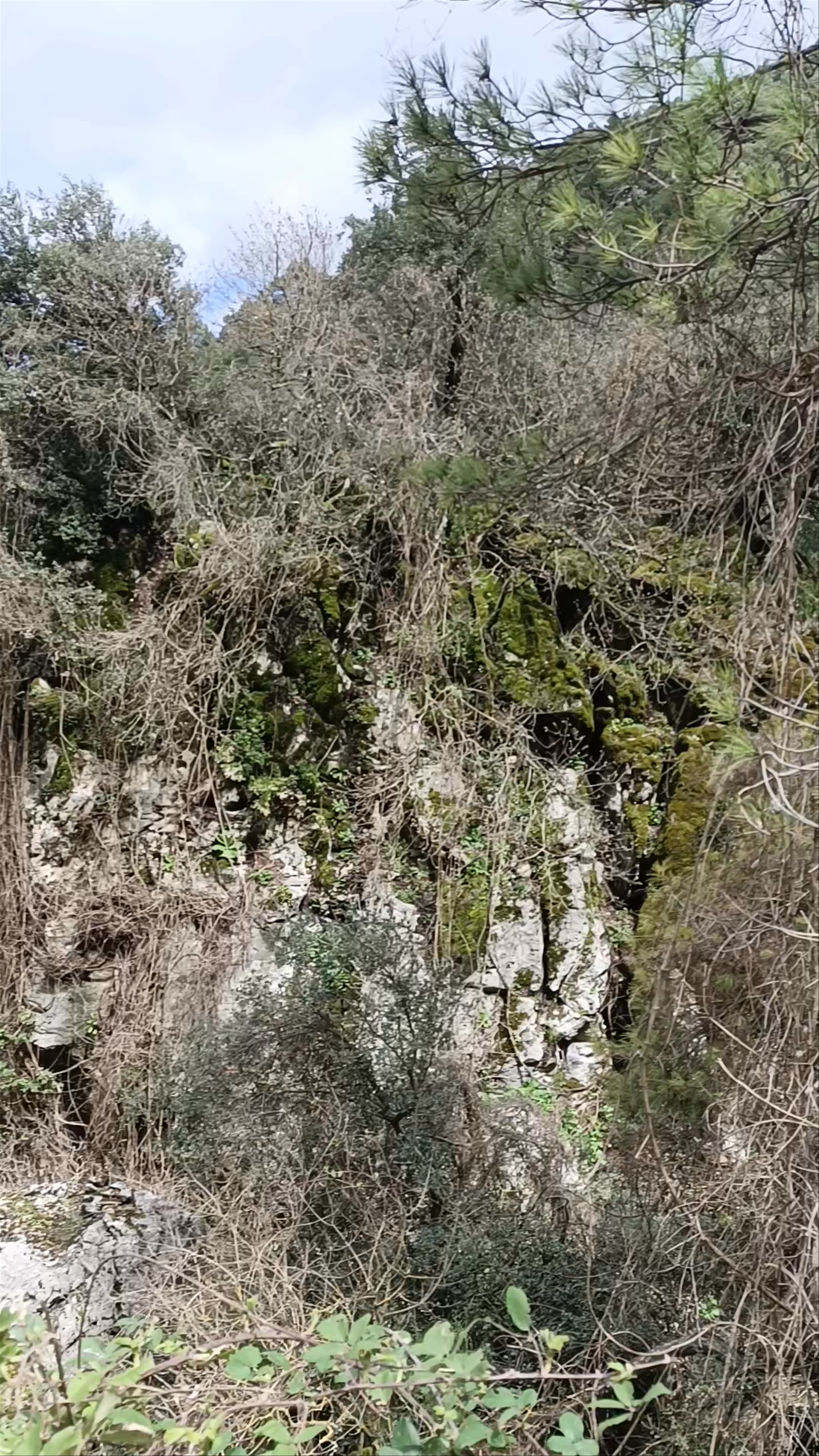 Exploring Parque Natural de Los Calares del río Mundo y de la Sima