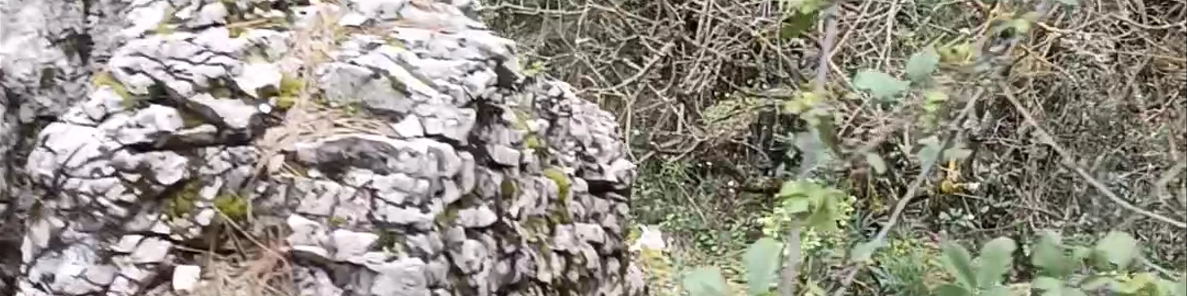 Parque Natural de Los Calares del río Mundo y de la Sima Monte Ardal