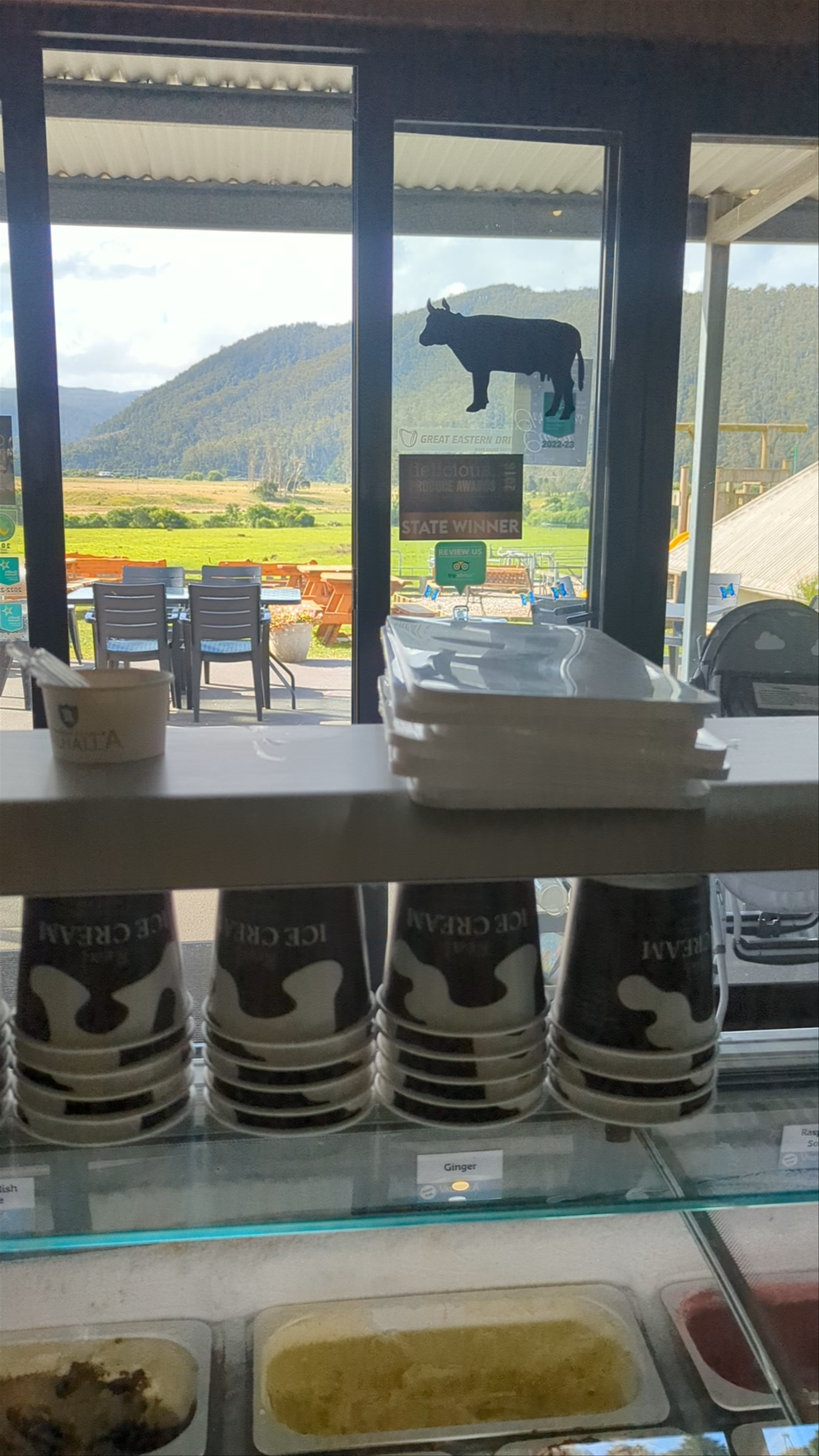 Pyengana Dairy Company