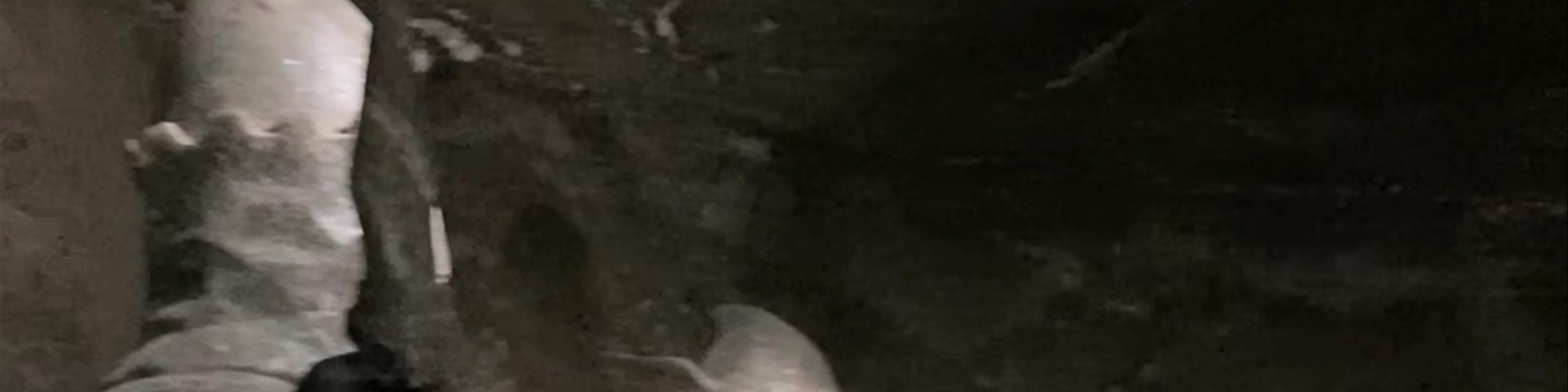Wieliczka Salt Mine