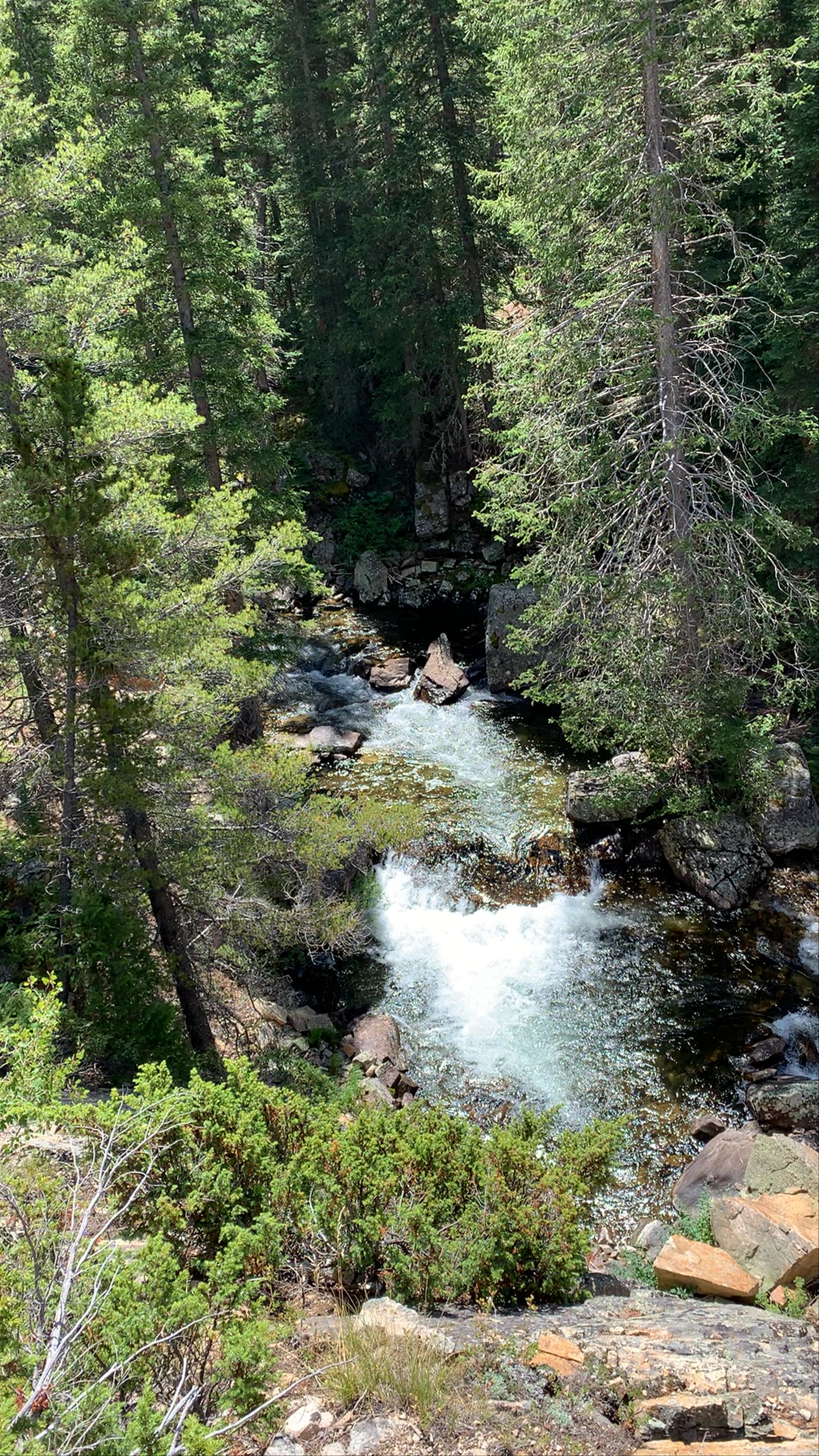 Arapaho & Roosevelt National Forests Pawnee National Grassland