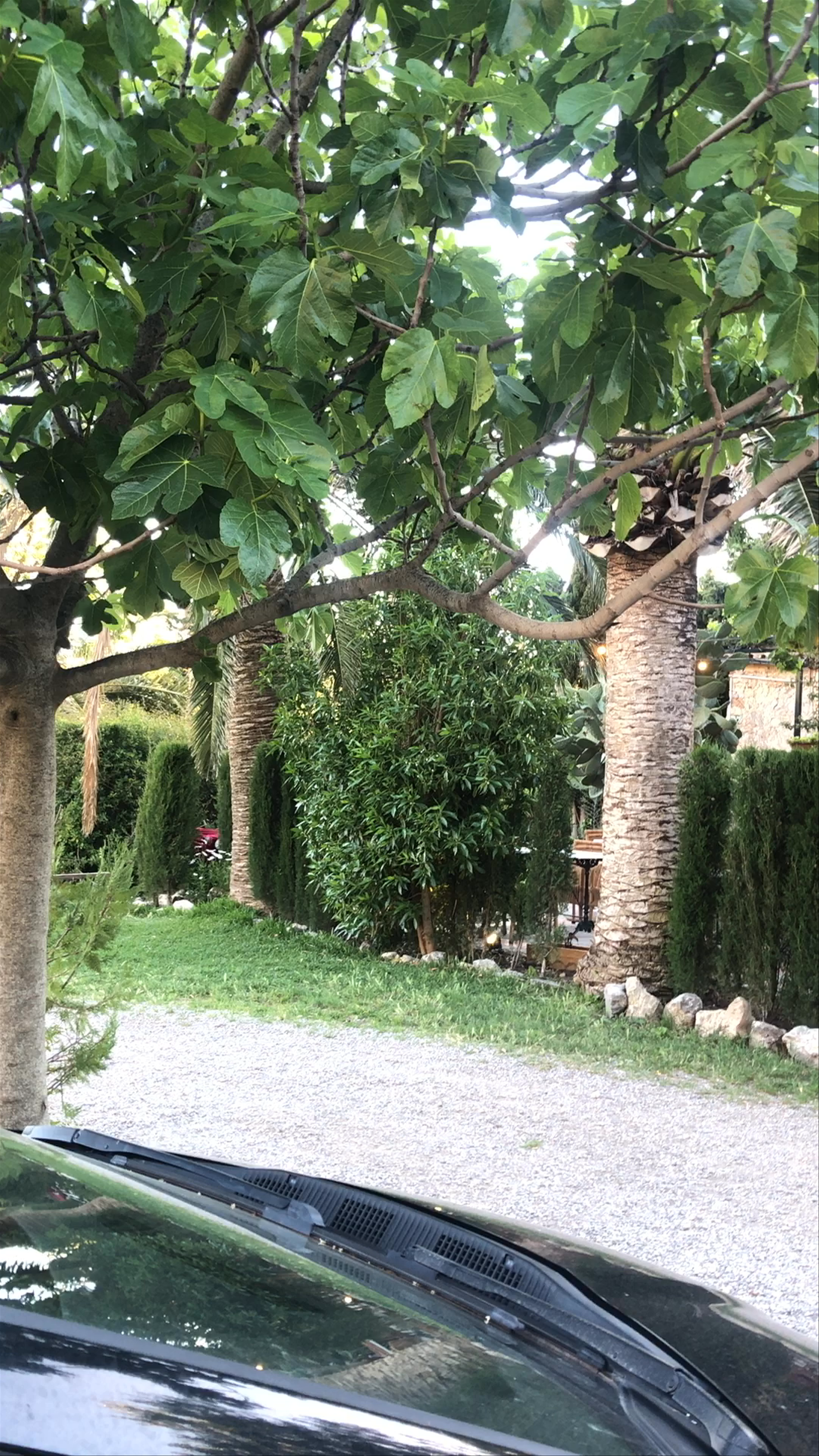 Twilight Serenity at Can Costa Valldemossa, Mallorca