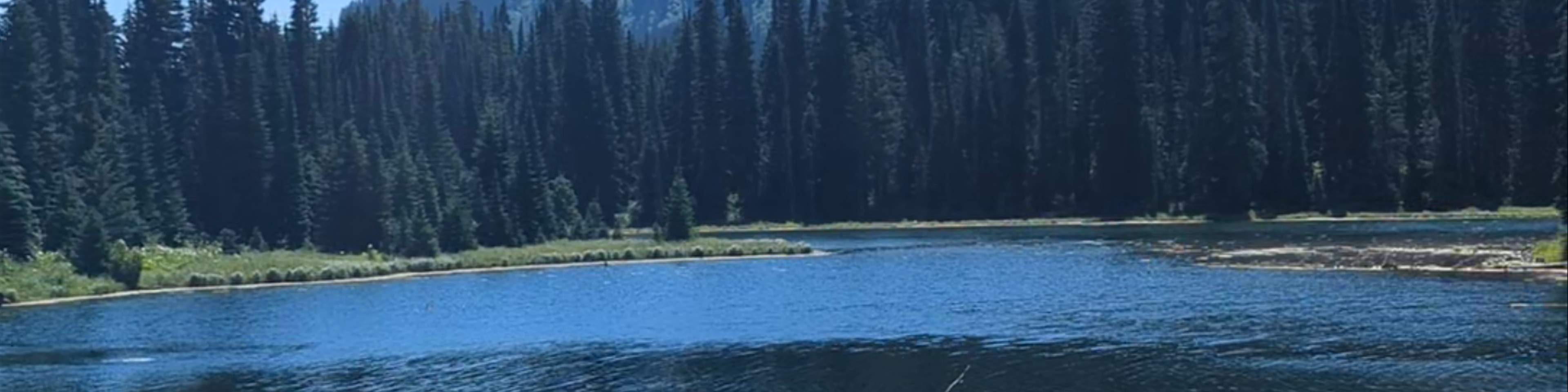 Fernie