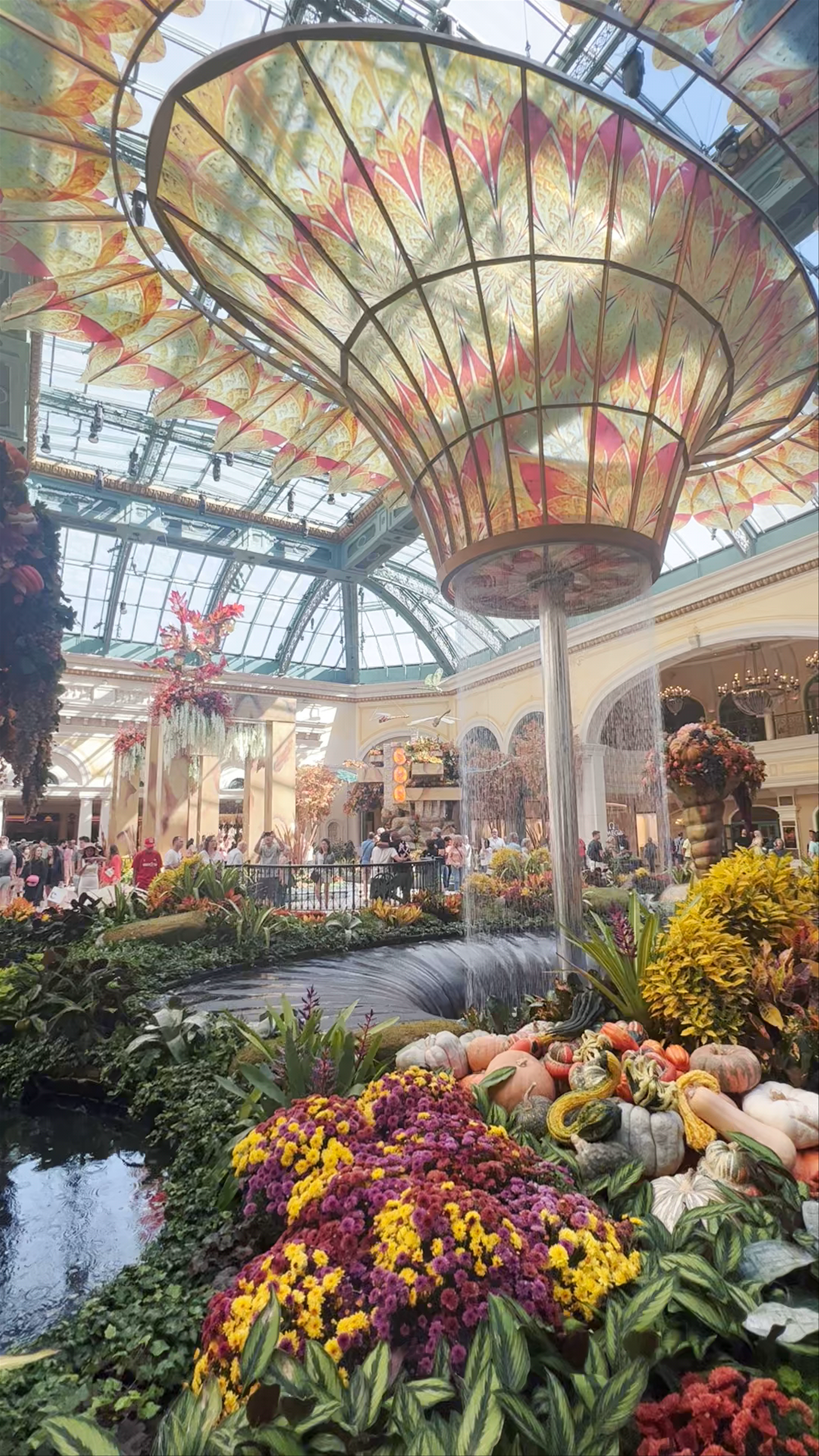 Bellagio Conservatory & Botanical Gardens in Las Vegas - A Vibrant Indoor Floral Wonderland
