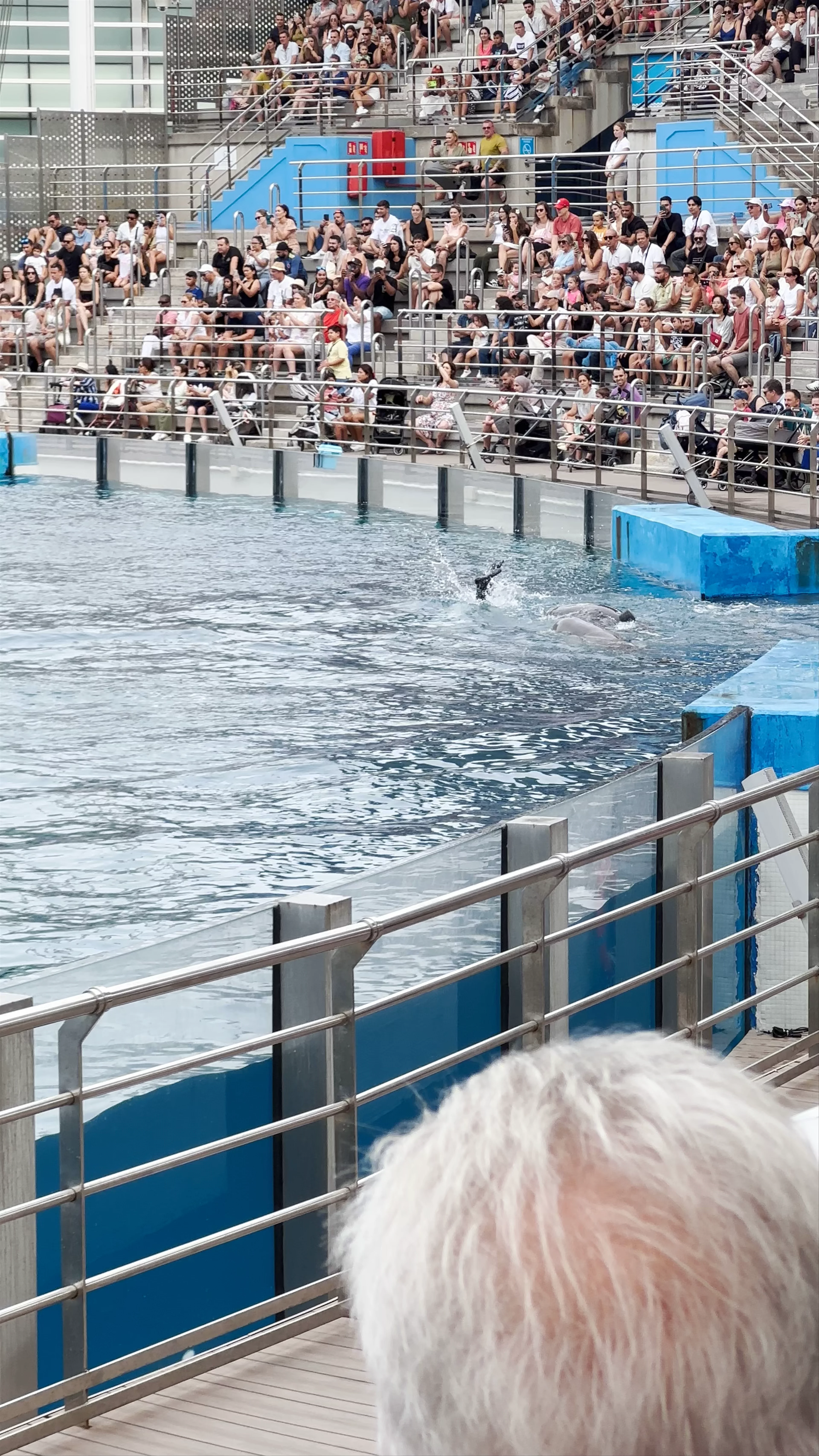 Oceanographic Valencia
