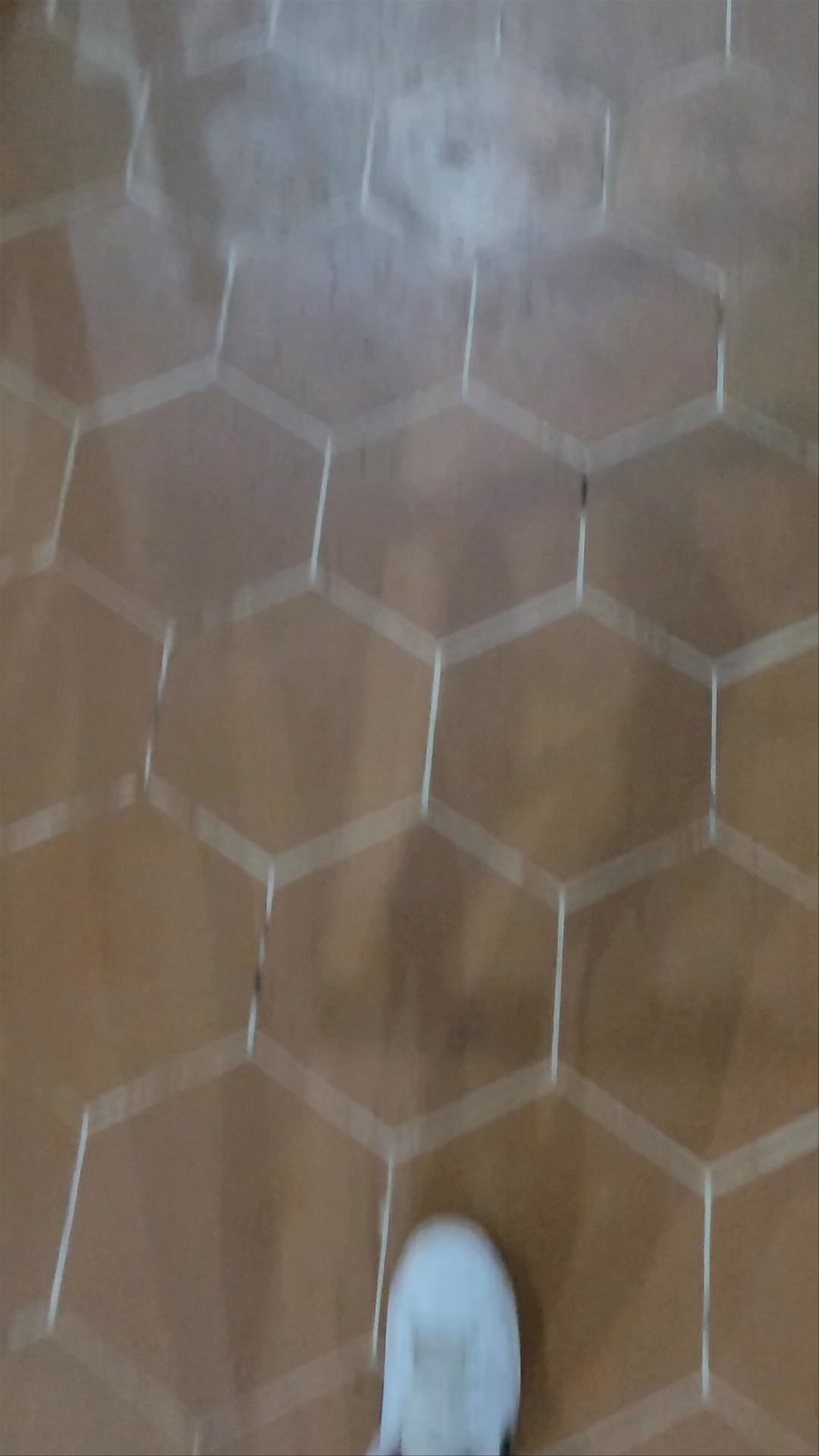 Restaurant Pizzeria Celler Sa Sini