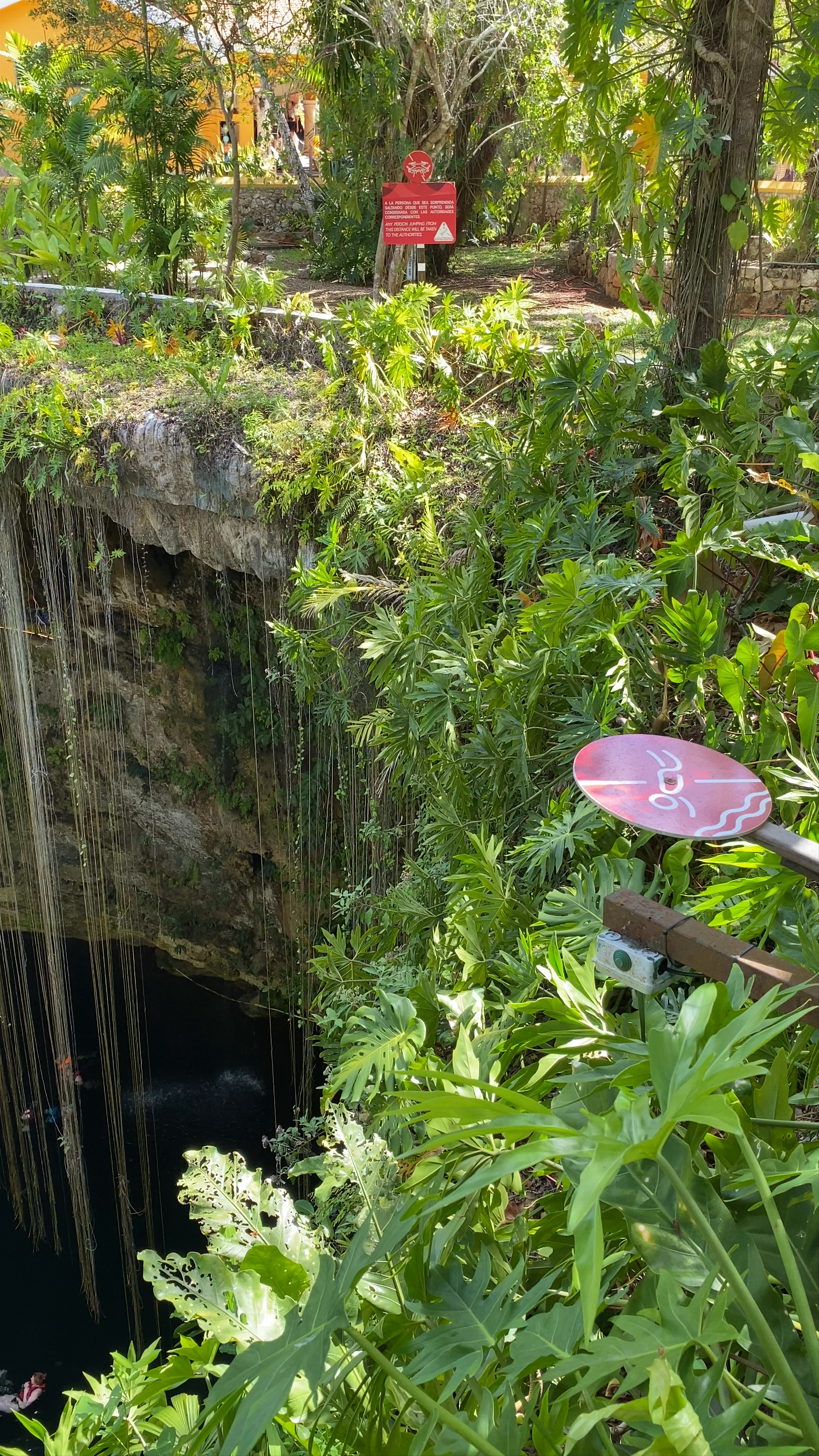 Enchanting Swim at Cenote Ik-Kil, Yucatan, Mexico