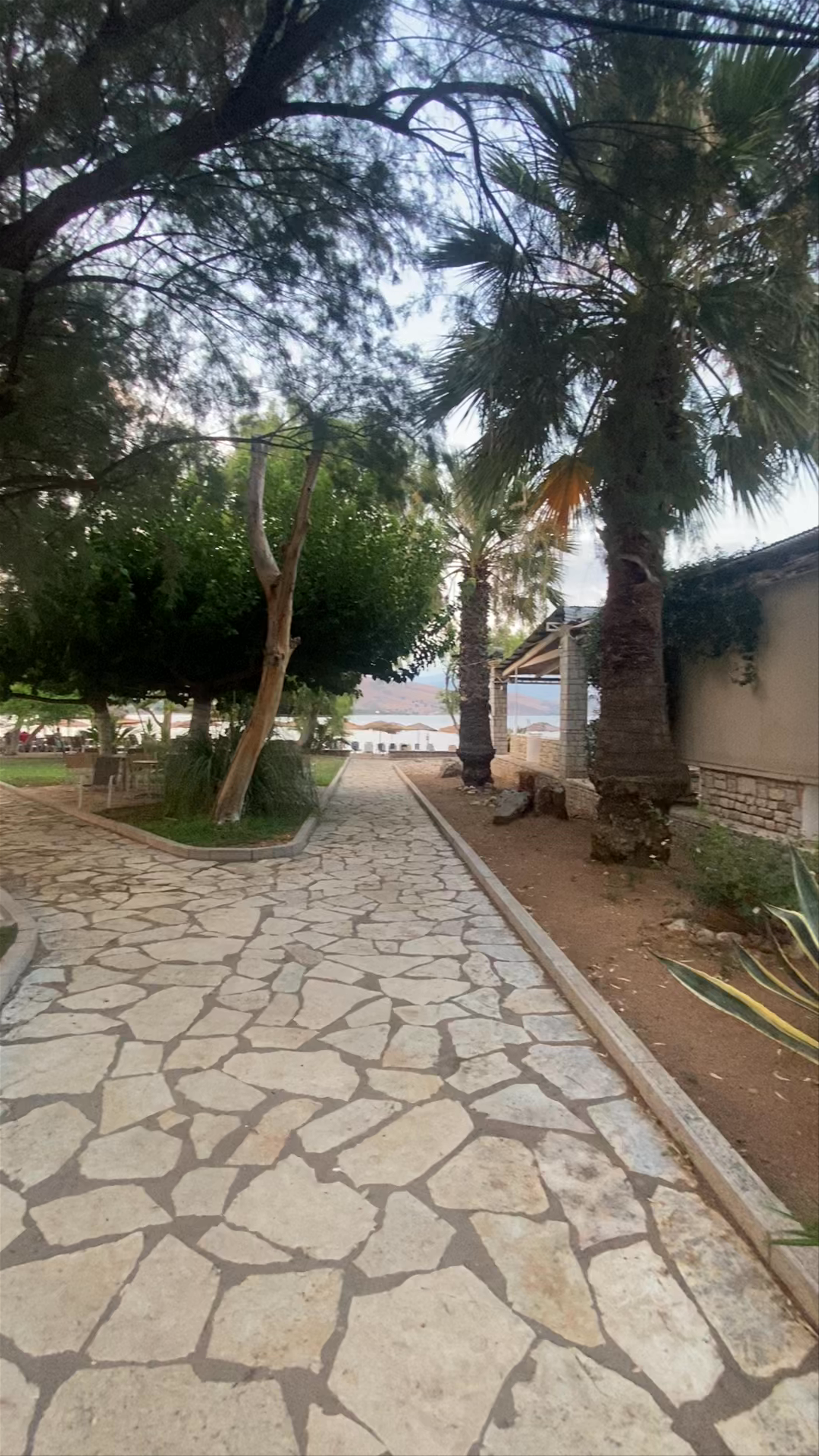 Kalafatis Galaxidi Beach Bar & Restaurant