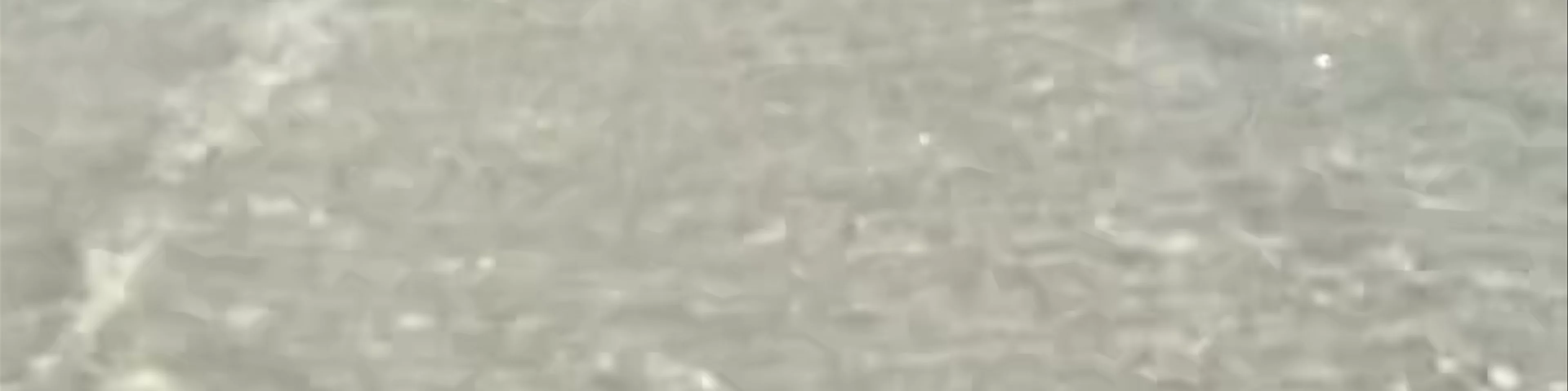 Exuma Sand Bar