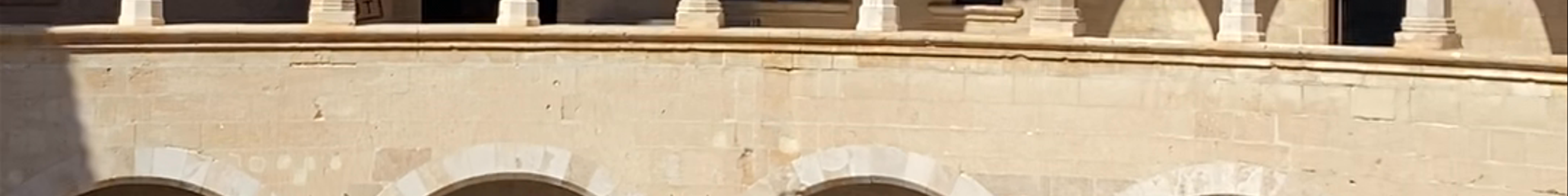 Tours & experiences in Palma