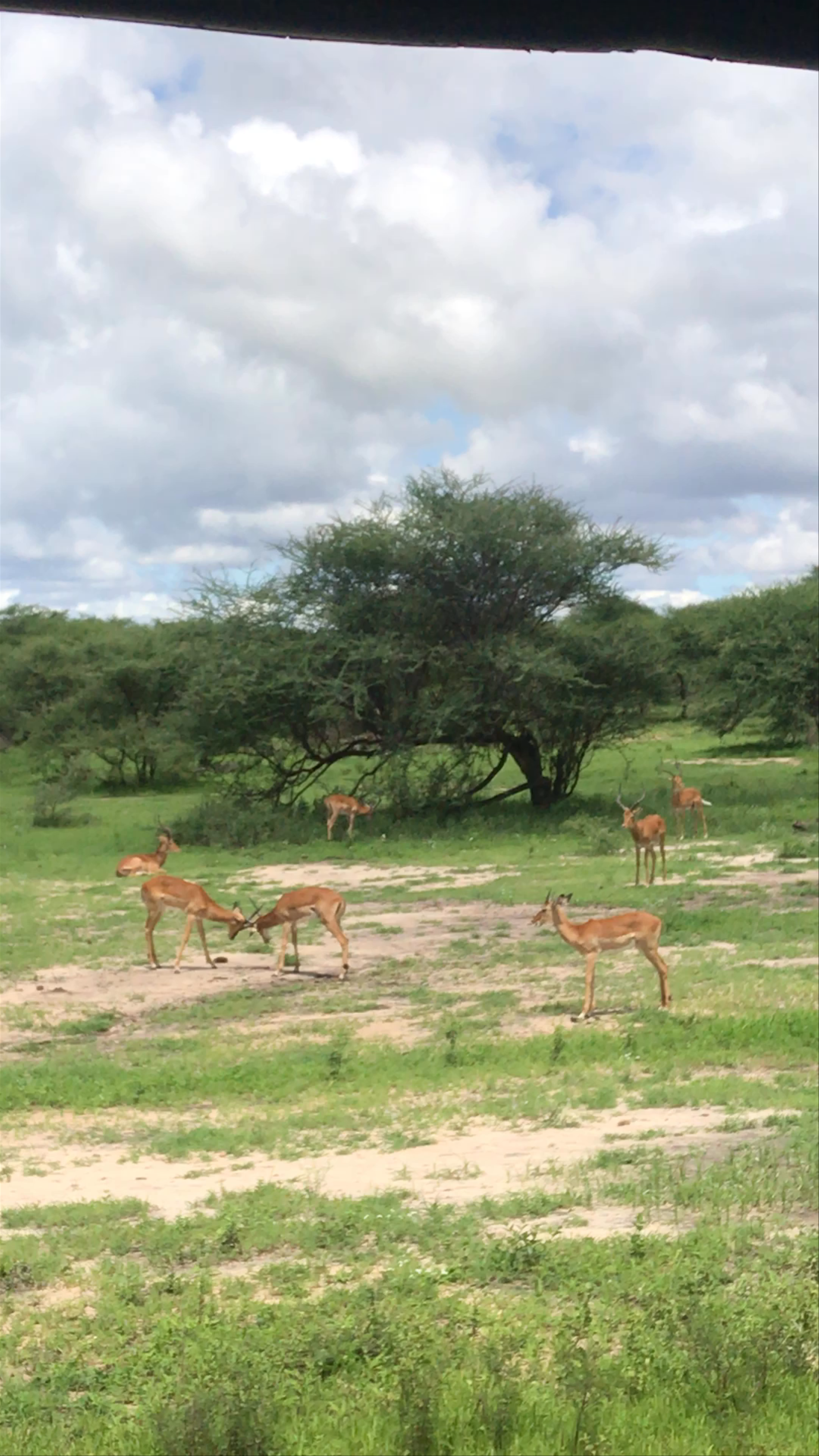 Tarangire National Park
