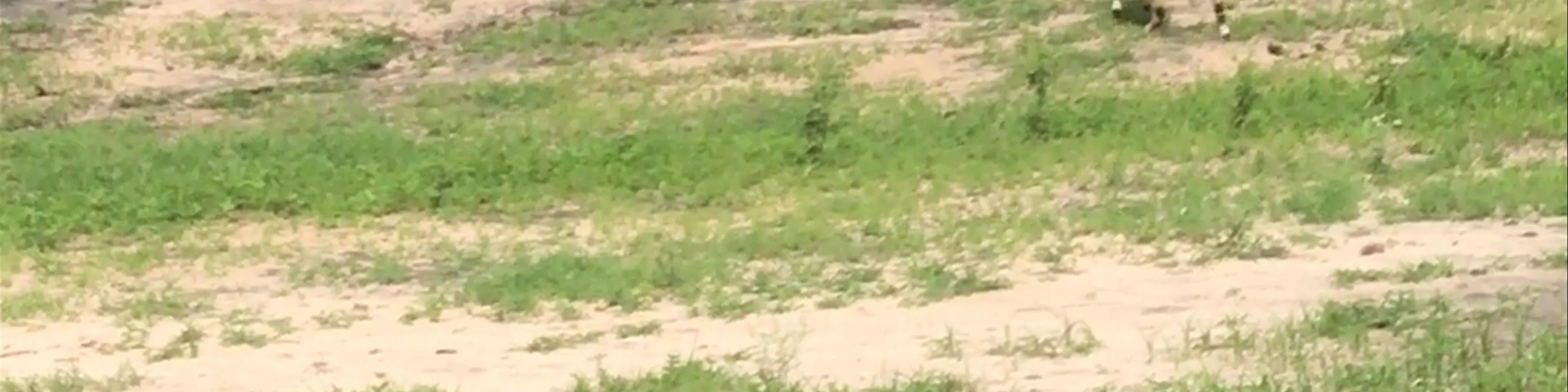 Tarangire National Park