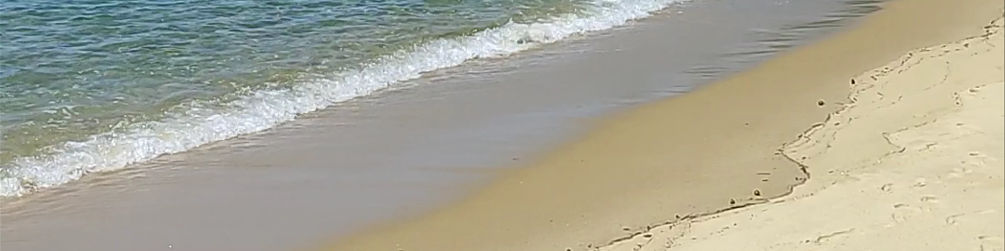 Praia Do Leste - Avenida Vereador Benedito Adelino - Enseada