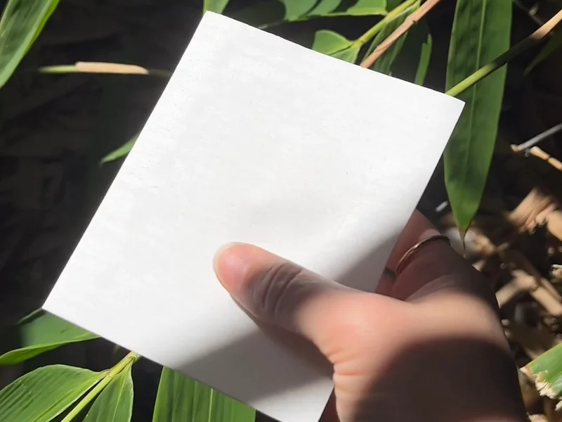 Evercleaner Laundry Sheets