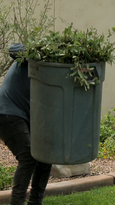 ArborCraft Tree Service - ArborCraft Tree Service cleaning up after a tree trimming job in Phoenix, AZ - Tree Services Near Me - Phoenix, Arizona