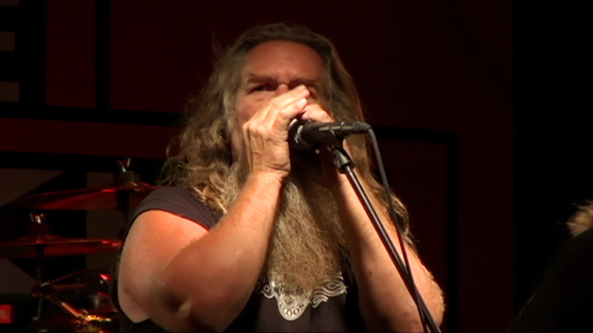 A long-haired musician performs a harmonica solo on a dimly lit stage accompanied by a guitarist. The duo delivers a soulful musical set before a live audience.