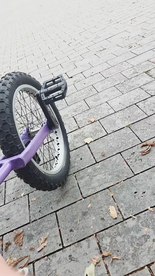riu submission: Pedalflip on tire