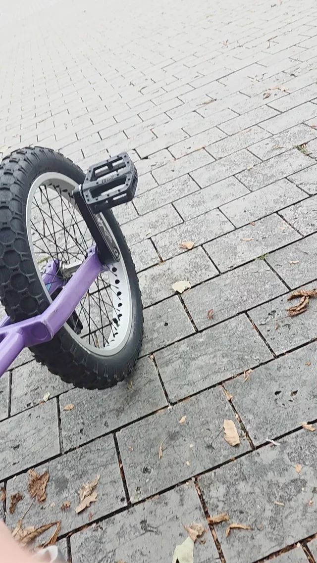riu submission: Pedalflip on tire