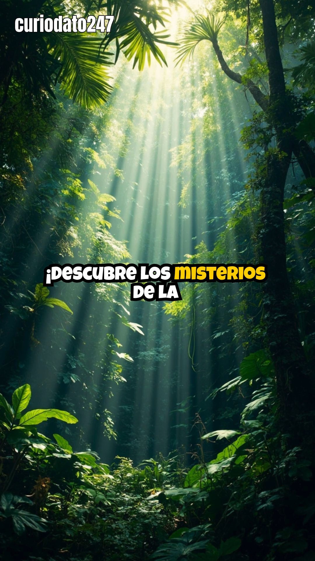 Descubre los misterios de la civilización maya: secretos, ciudades y enigmas espirituales