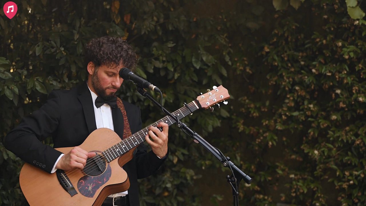 The Midnight Flowers - Live Showreel 2025 - video