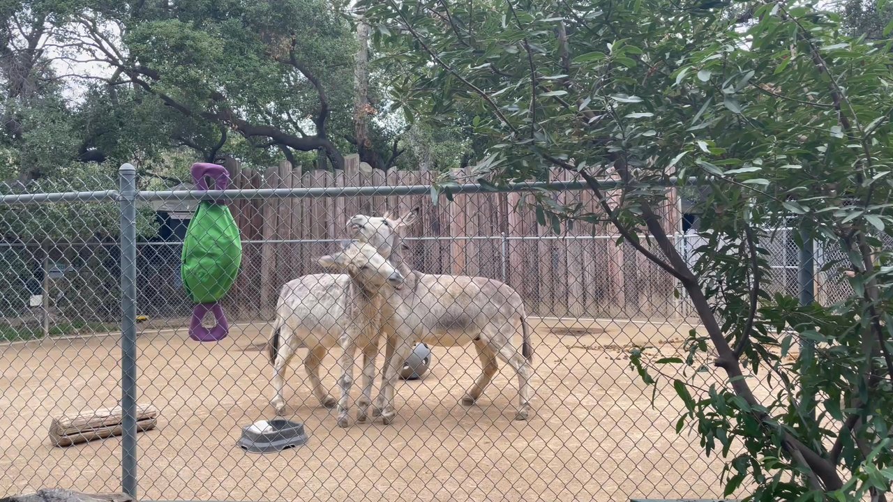 Orange County Zoo - Zoos Near Me - Orange, California