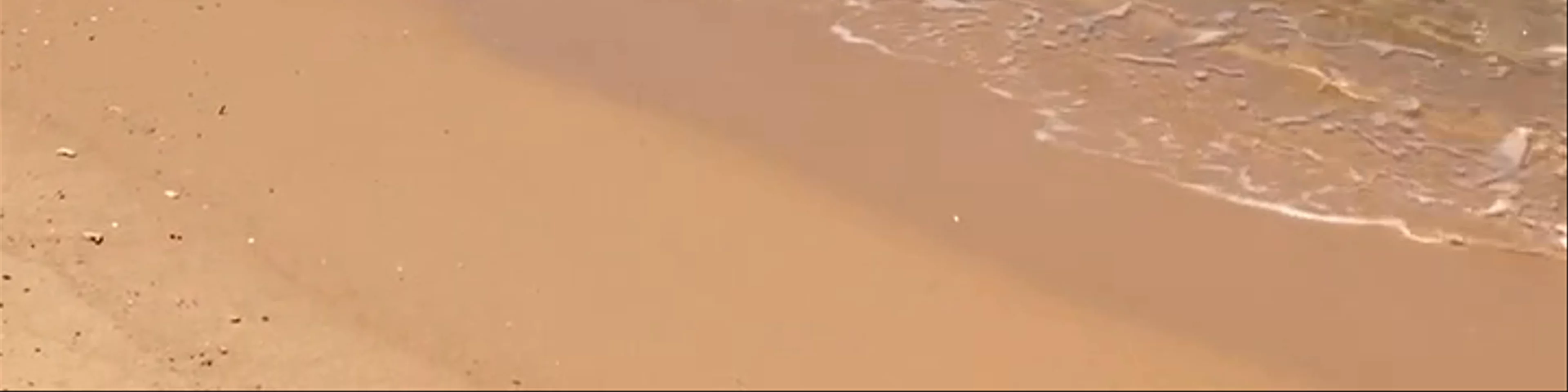 Paya Beach Spa & Dive Resort - Tioman Island