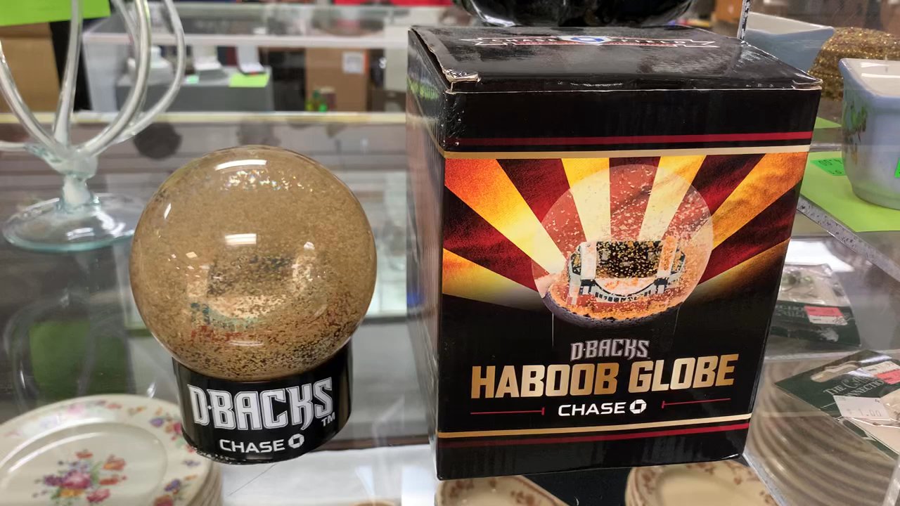Hidden Treasures - Dust globe - Thrift Stores Near Me - Chandler, Arizona