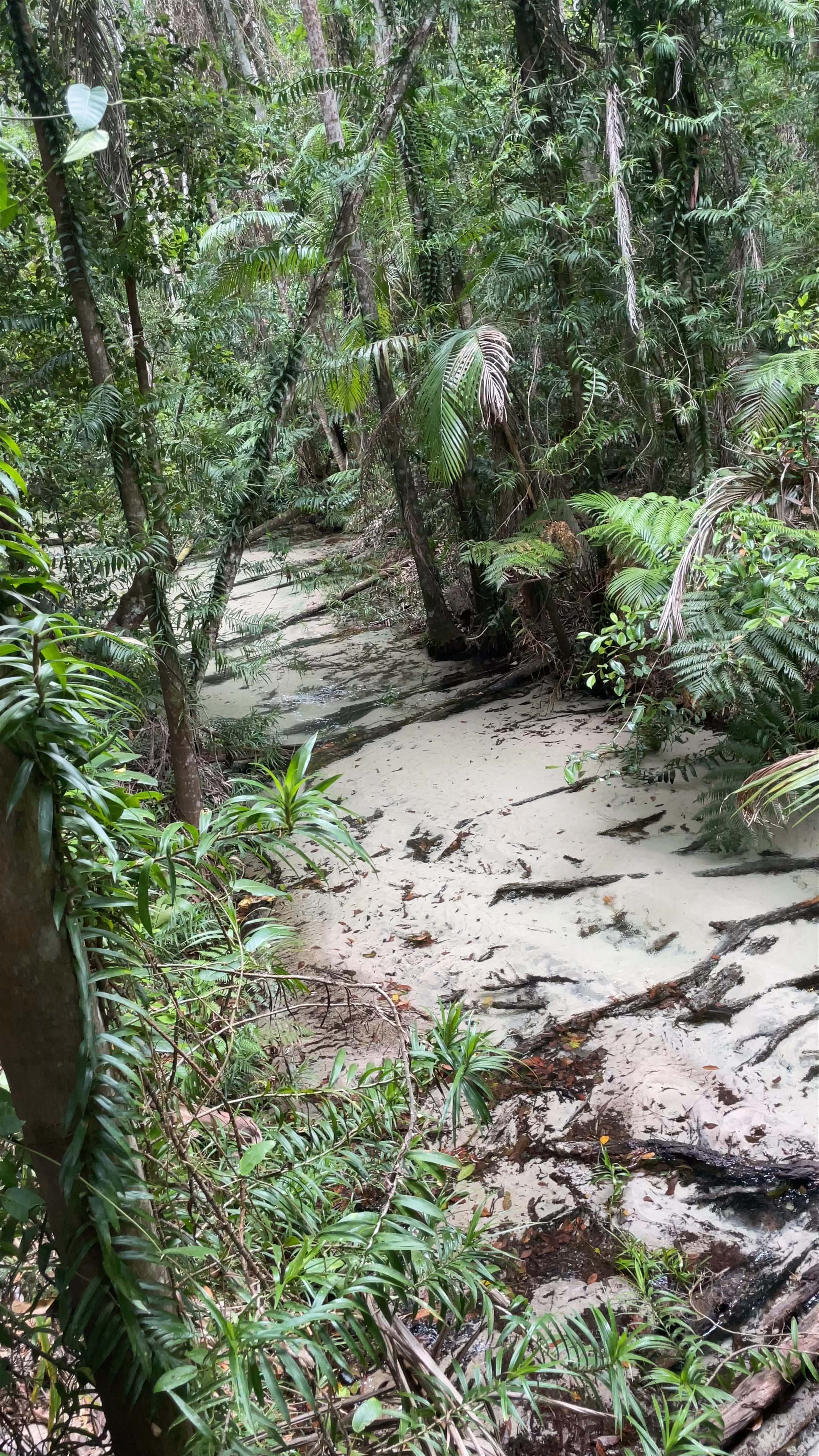 Wanggoolba Creek