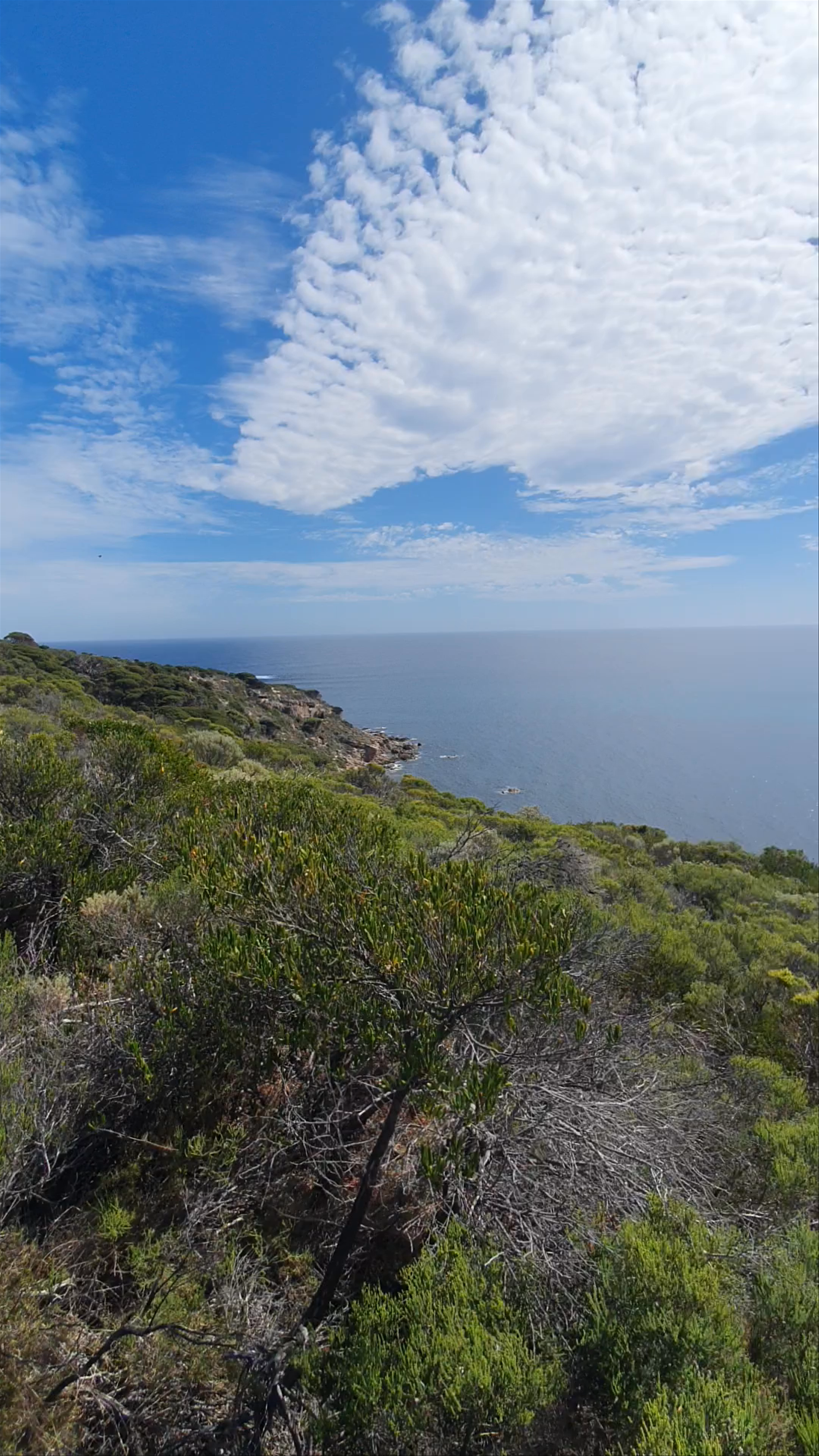 Whale Watching Platform