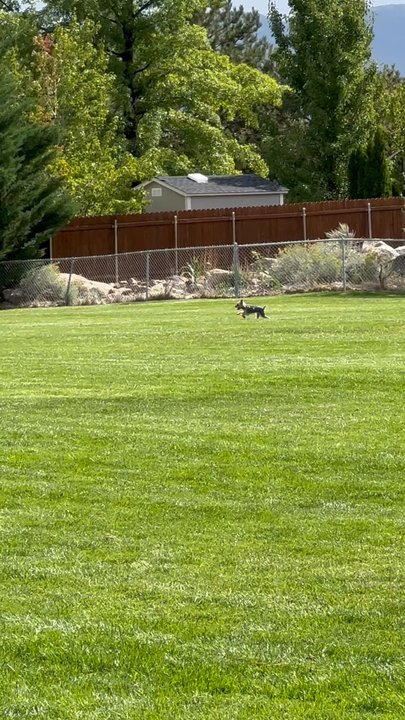 Whites Creek Park - Run Fen run! - Playgrounds Near Me - Reno, Nevada