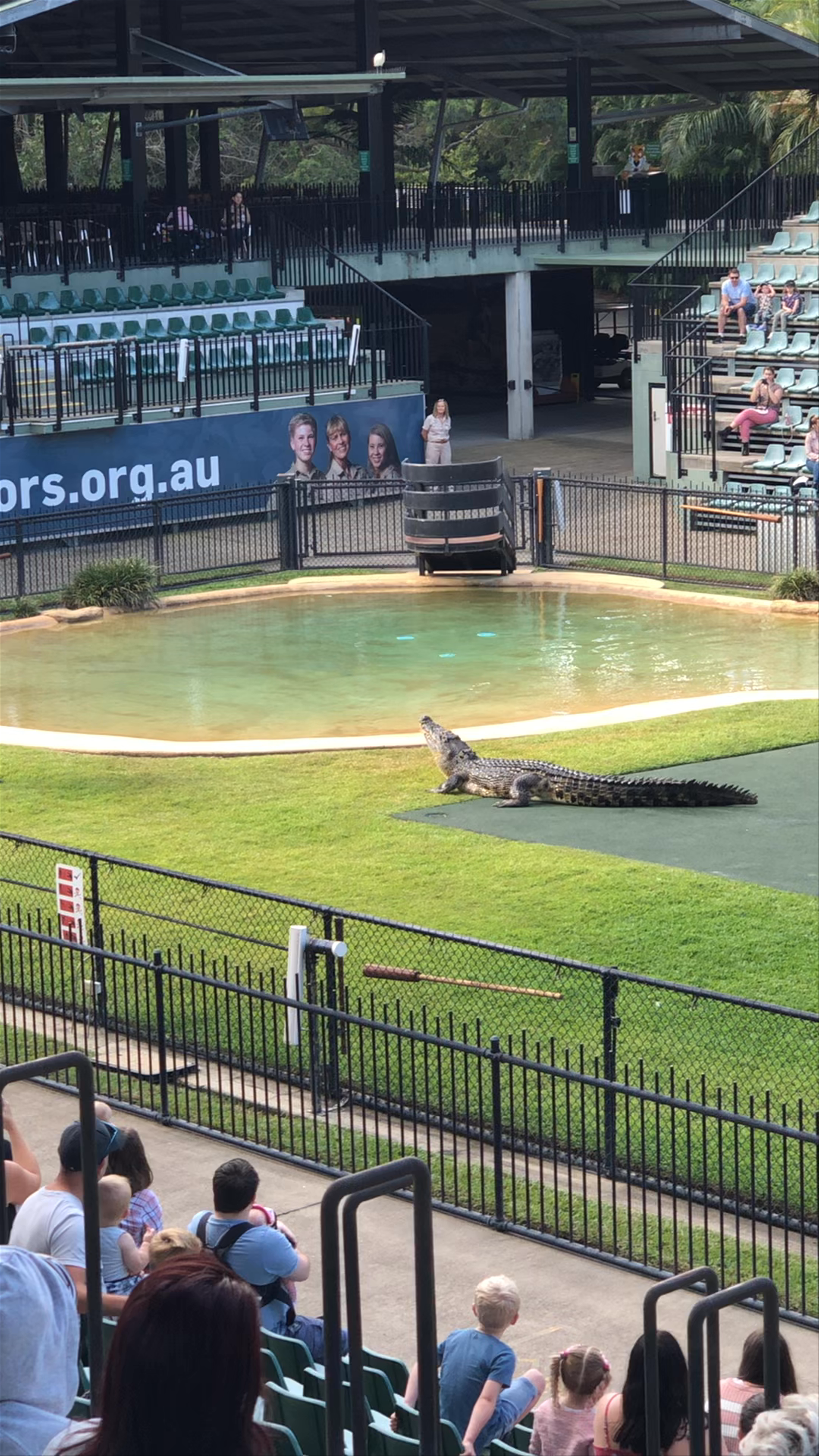 Australia Zoo Crocodile Encounter - Wild Wildlife Adventure in Beerwah