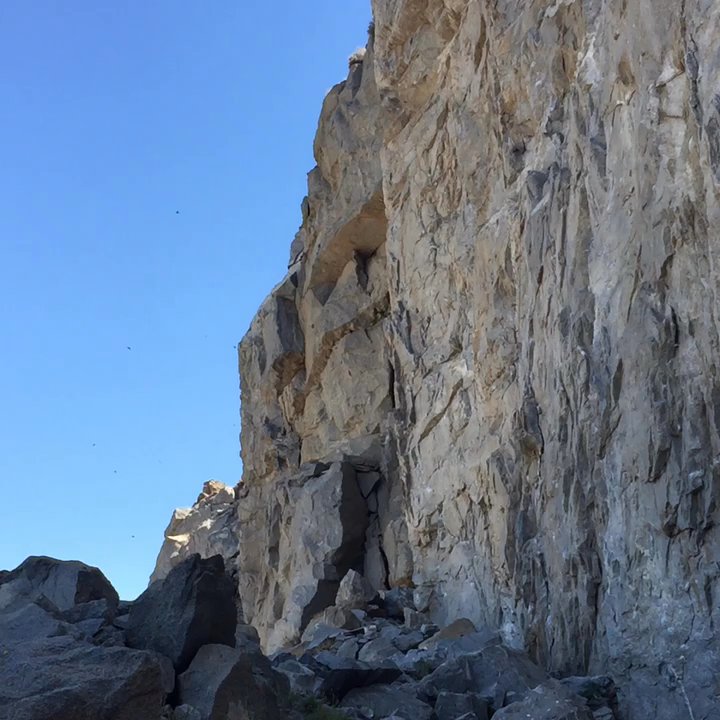 Riverside Rock Quarry - Birds m - Climbing Near Me - Riverside, California
