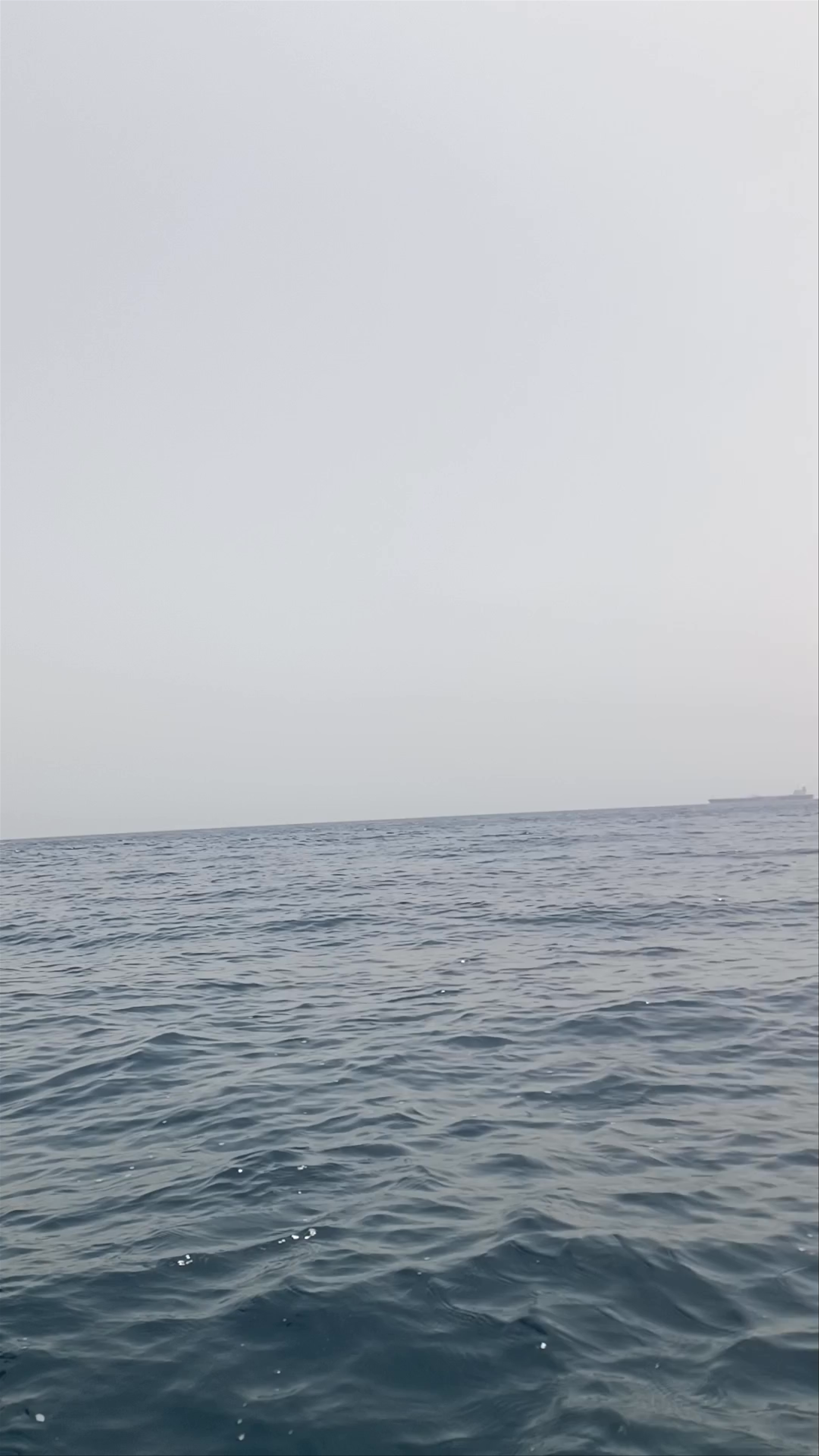 Isla de las Palomas
