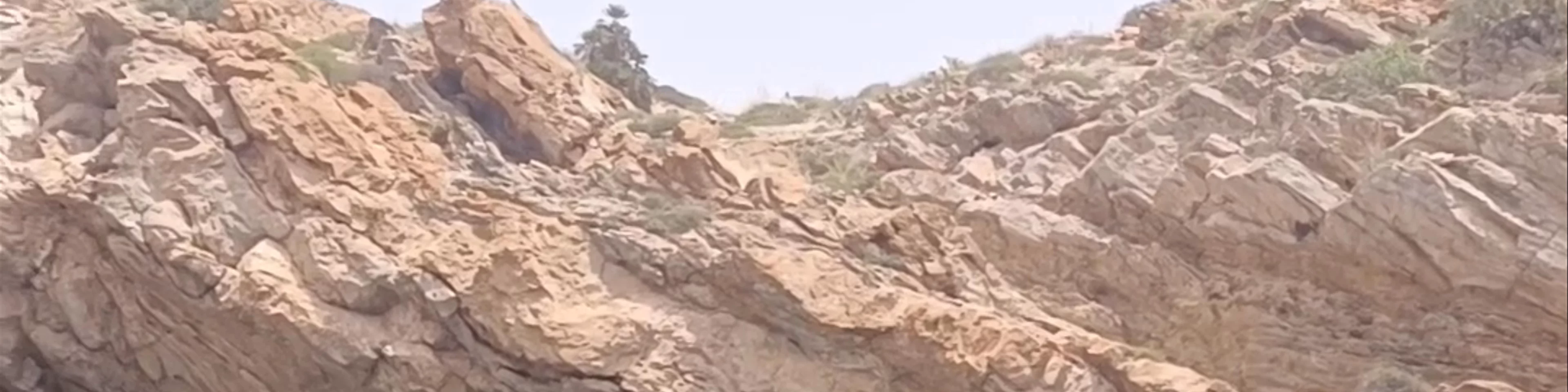 Isla de las Palomas