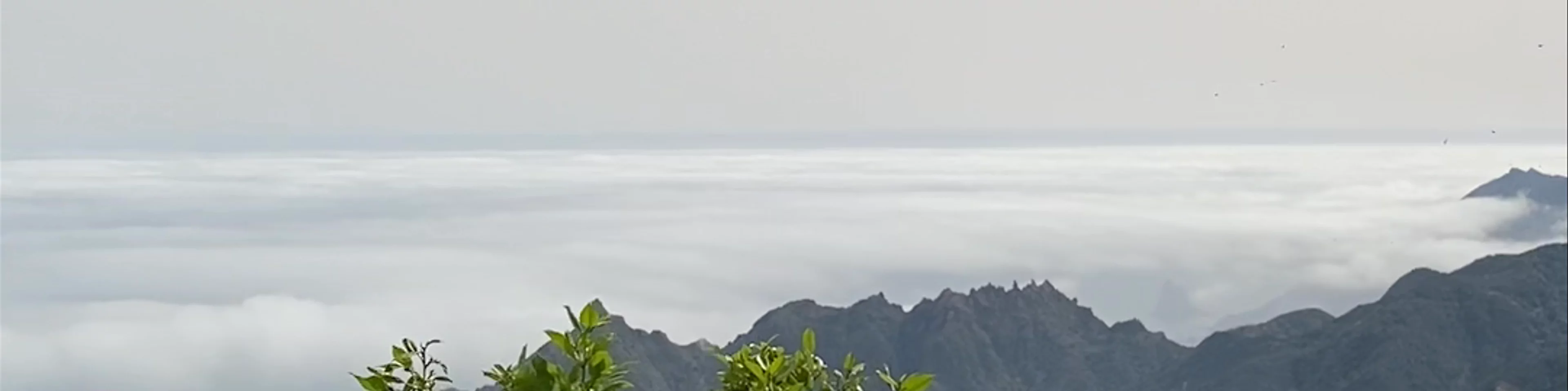 Mirador Pico del Inglés
