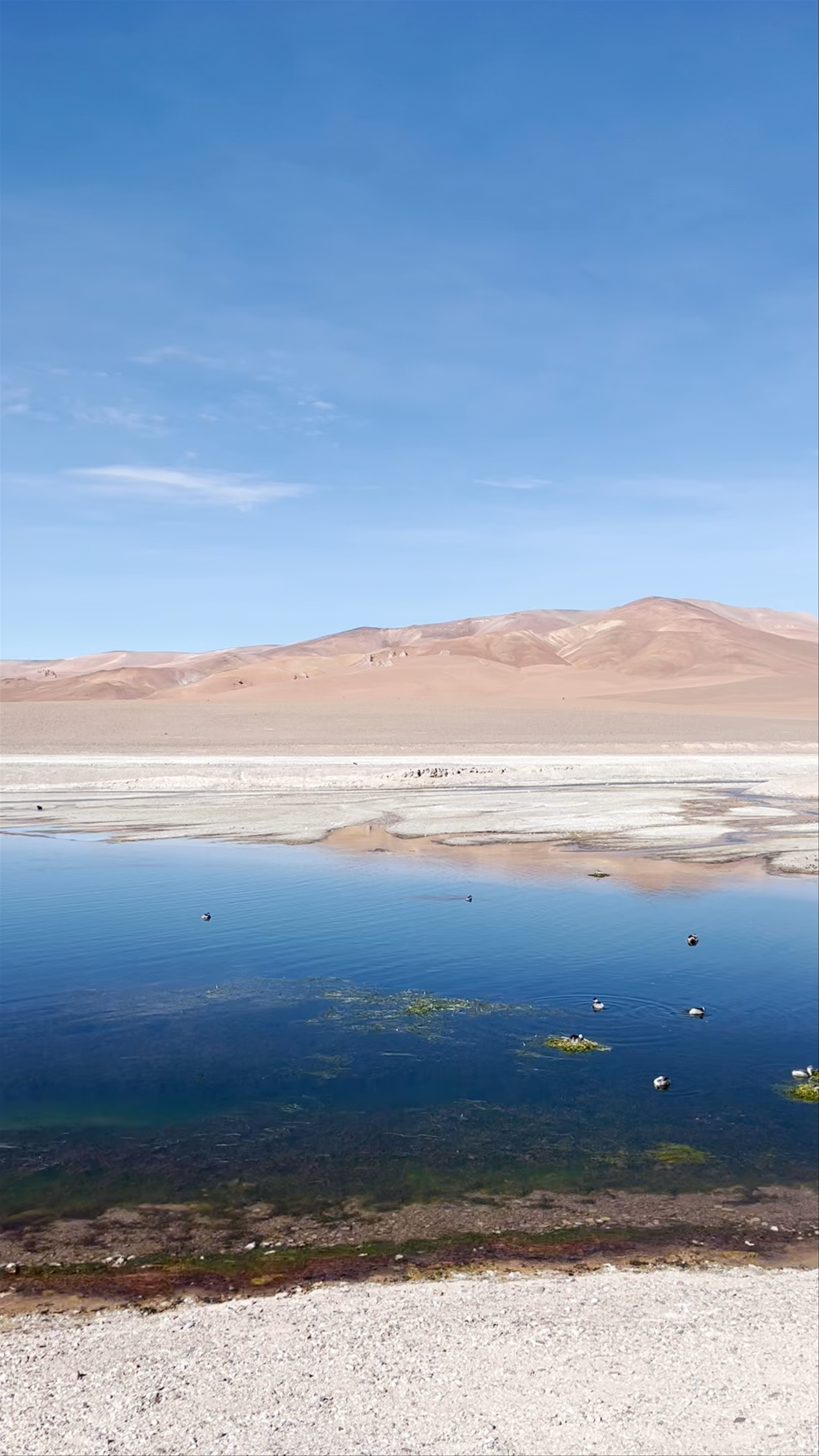 Desierto de Atacama