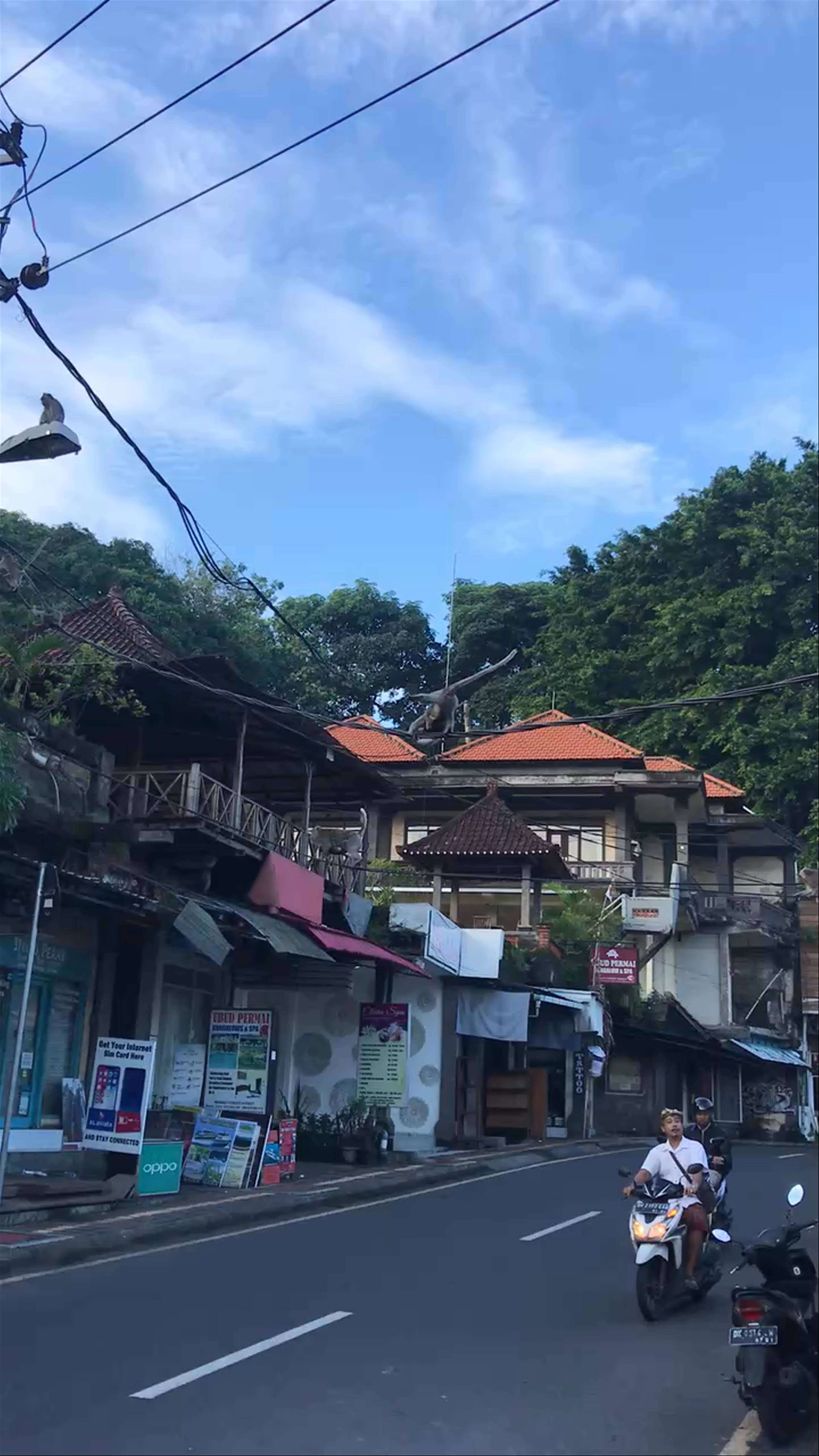 Wenara Bali Bungalows, Jalan Monkey Forest