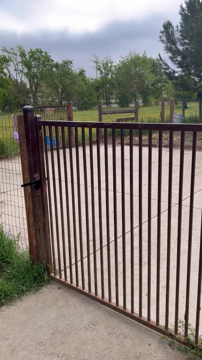 Alston Park - Dog Park, our Goldendoodle Puppy Midnight, Trail, Bird on Birdhouse & Flowers! - Dog Parks Near Me - Napa, California