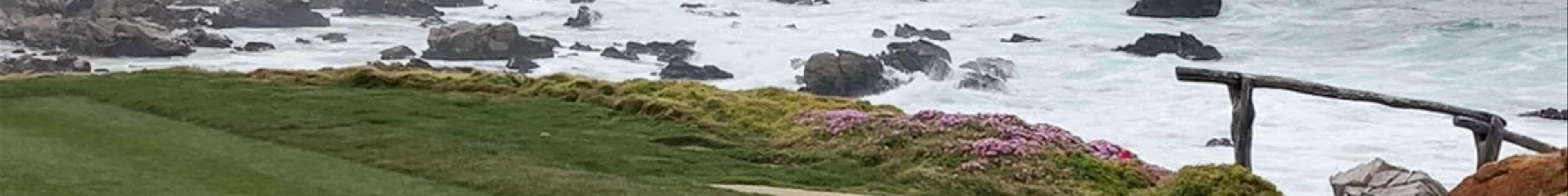 Tours & experiences in Monterey
