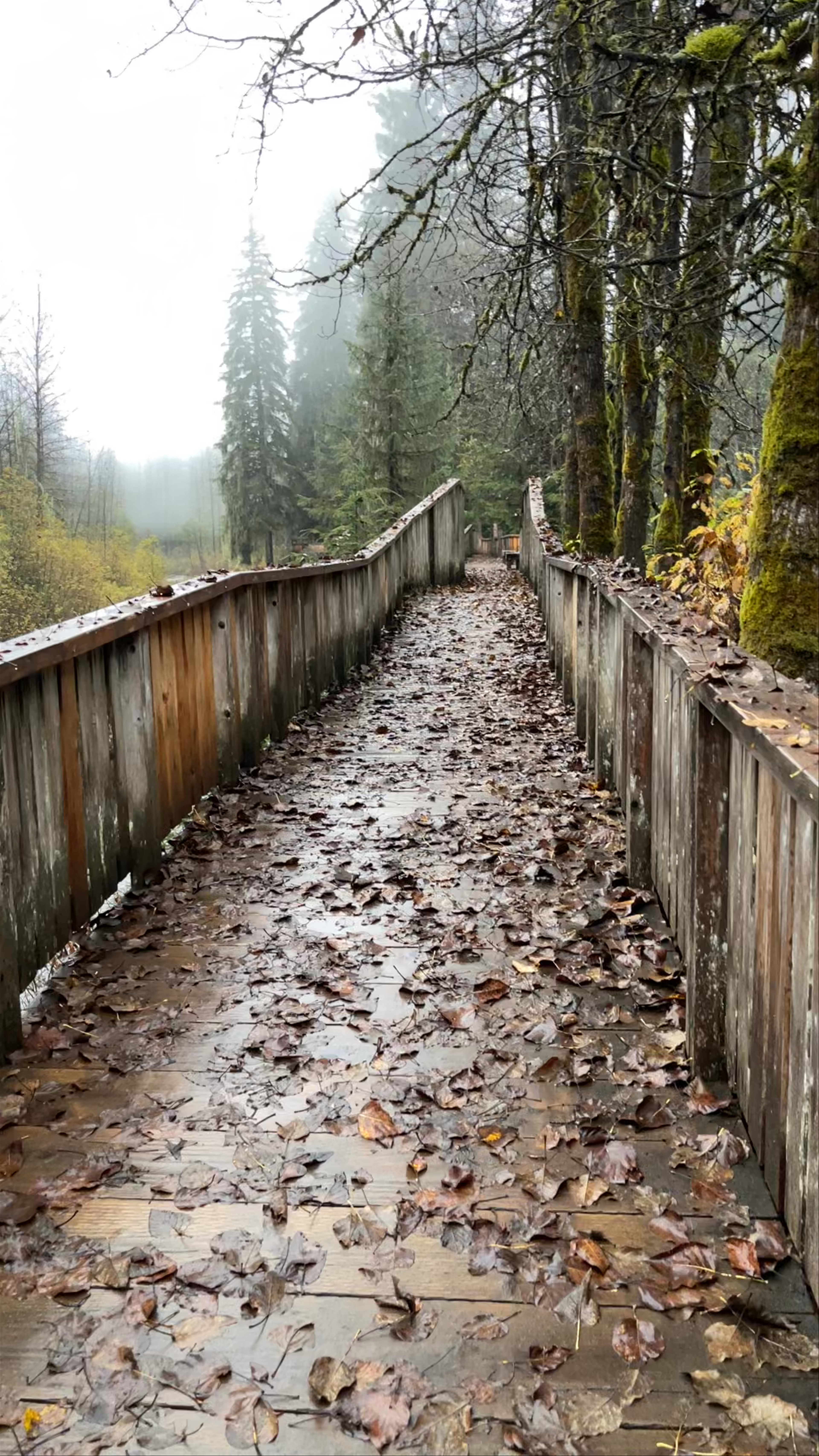 Fish Creek Wildlife Observation Site