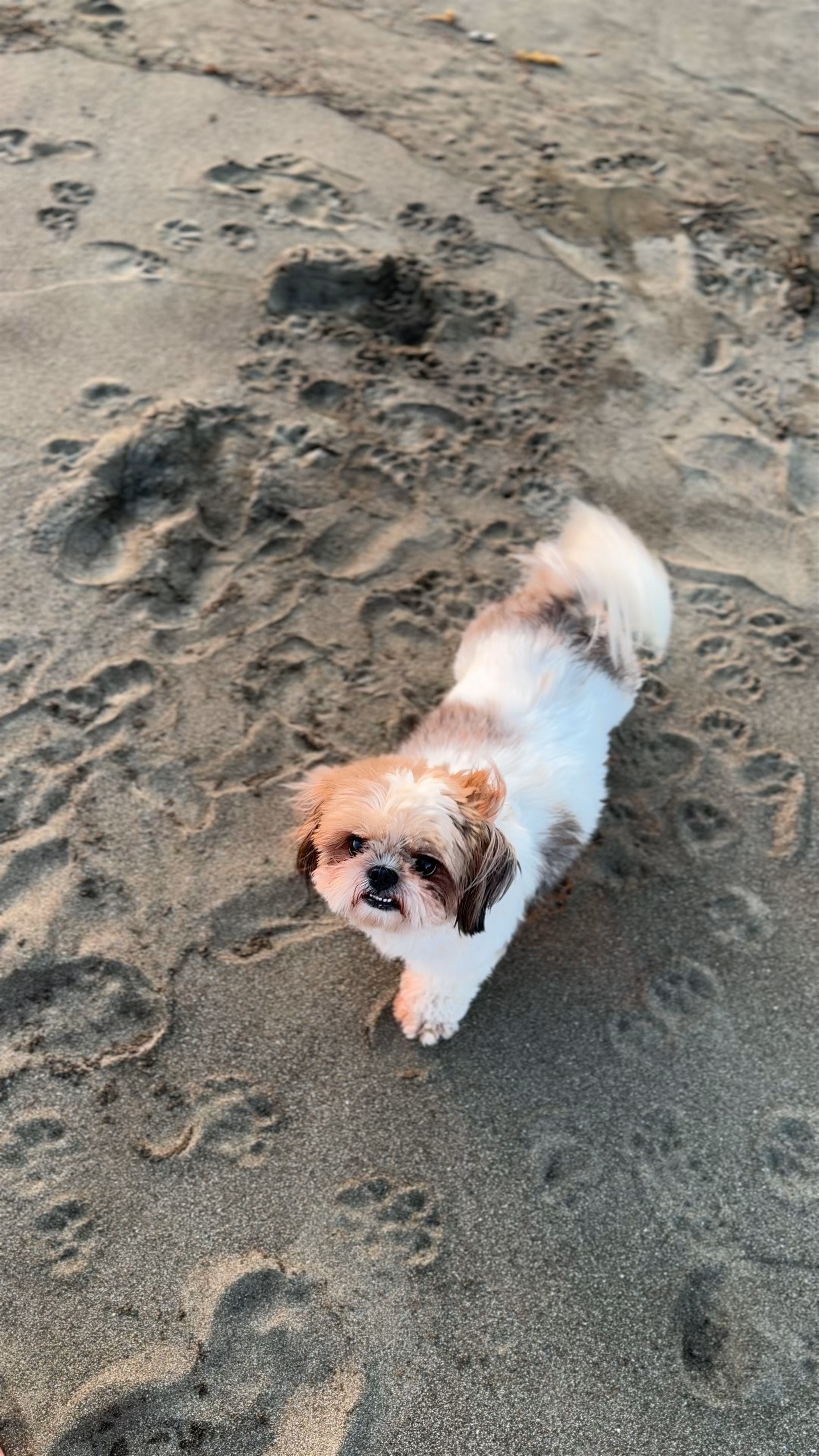 Istana Baylon Beach Resort