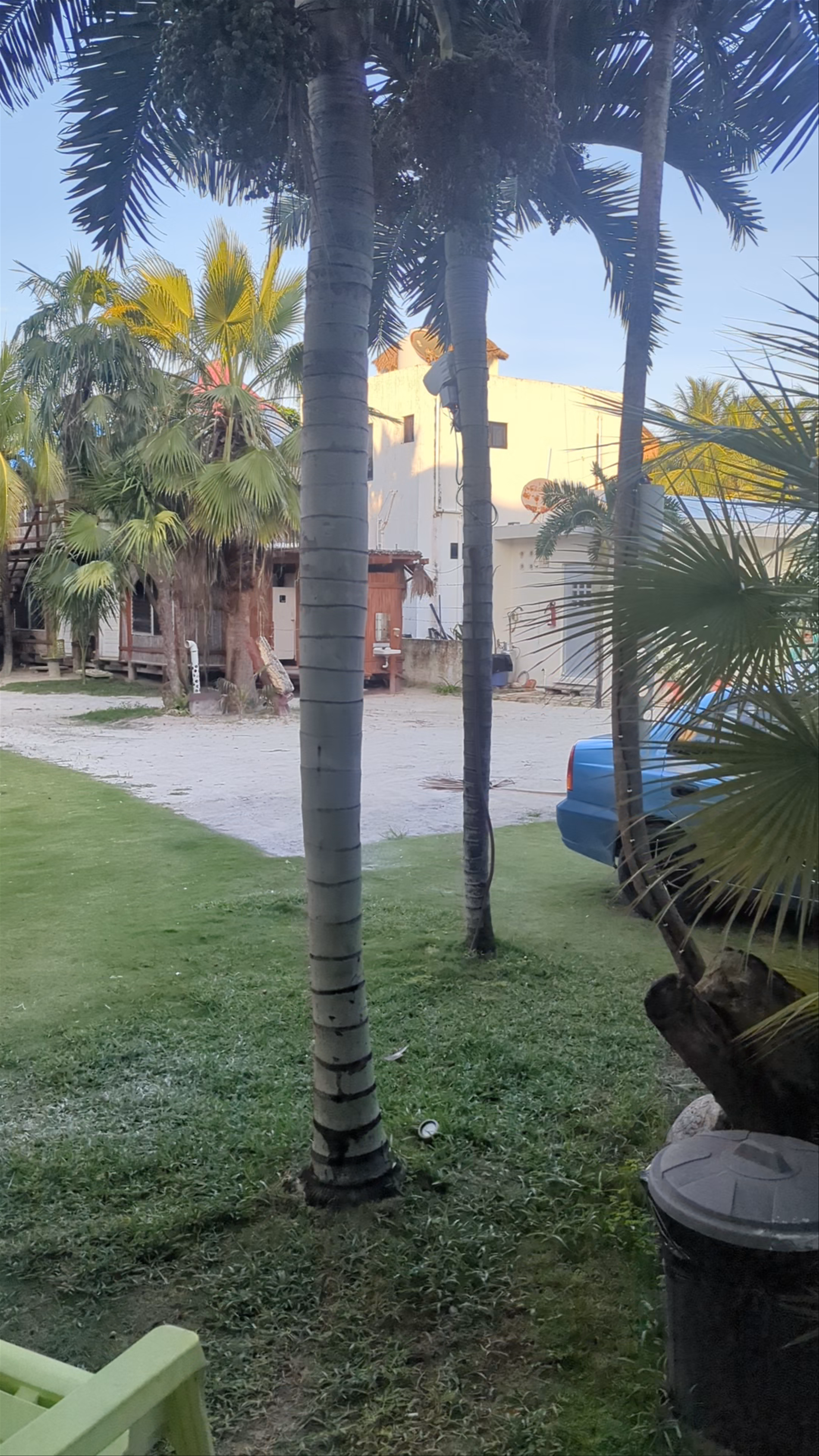 Las Cabañas del Doctor